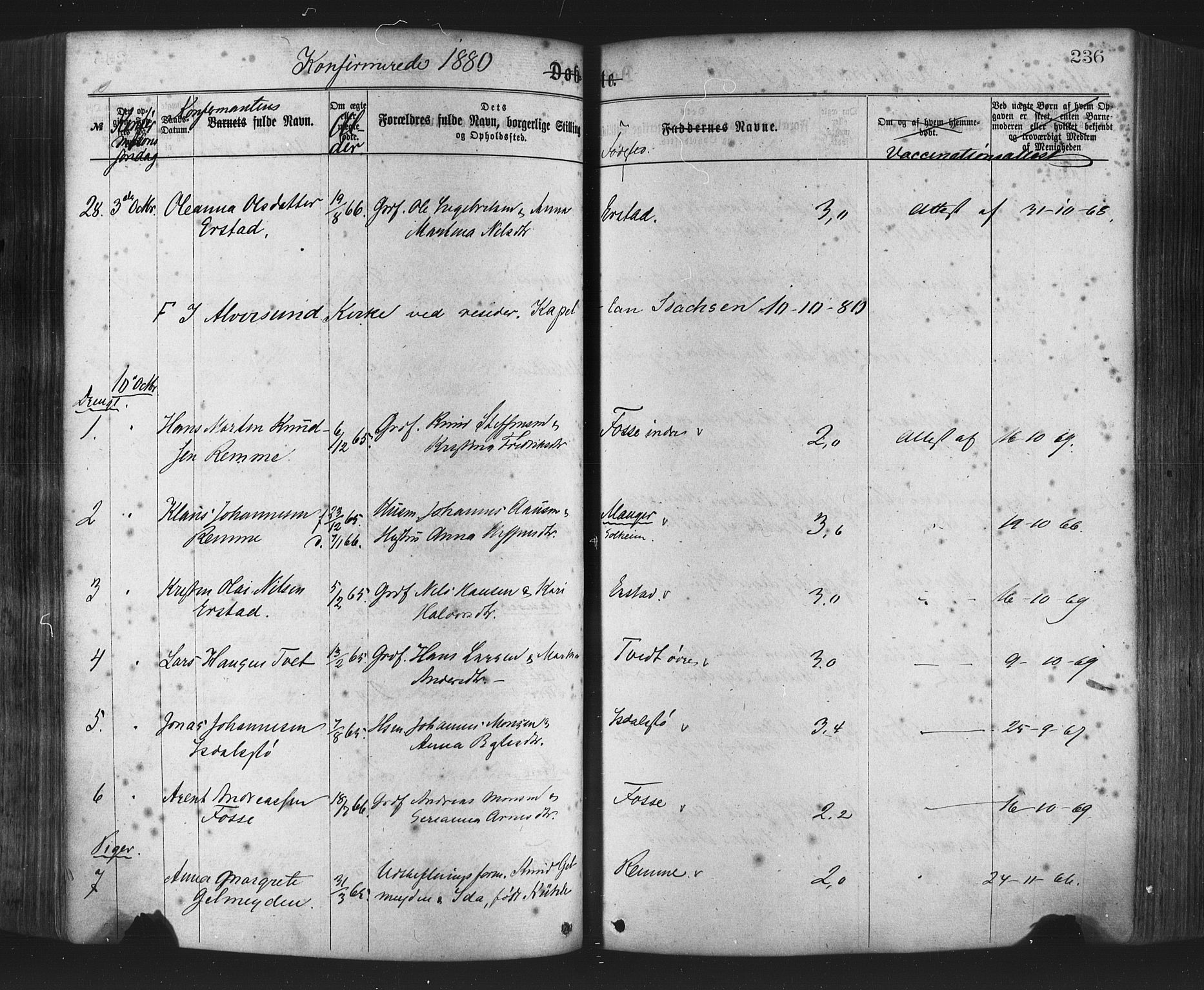 Hamre sokneprestembete, AV/SAB-A-75501/H/Ha/Haa/Haaa/L0015: Parish register (official) no. A 15, 1870-1881, p. 236