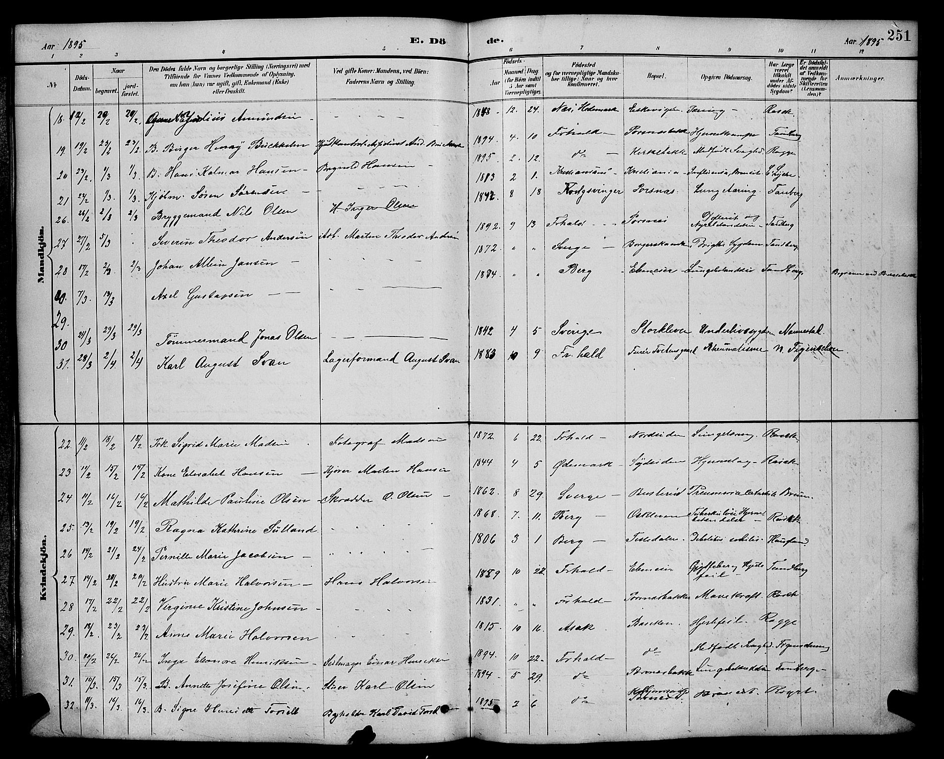 Halden prestekontor Kirkebøker, AV/SAO-A-10909/G/Ga/L0009: Parish register (copy) no. 9, 1885-1908, p. 251