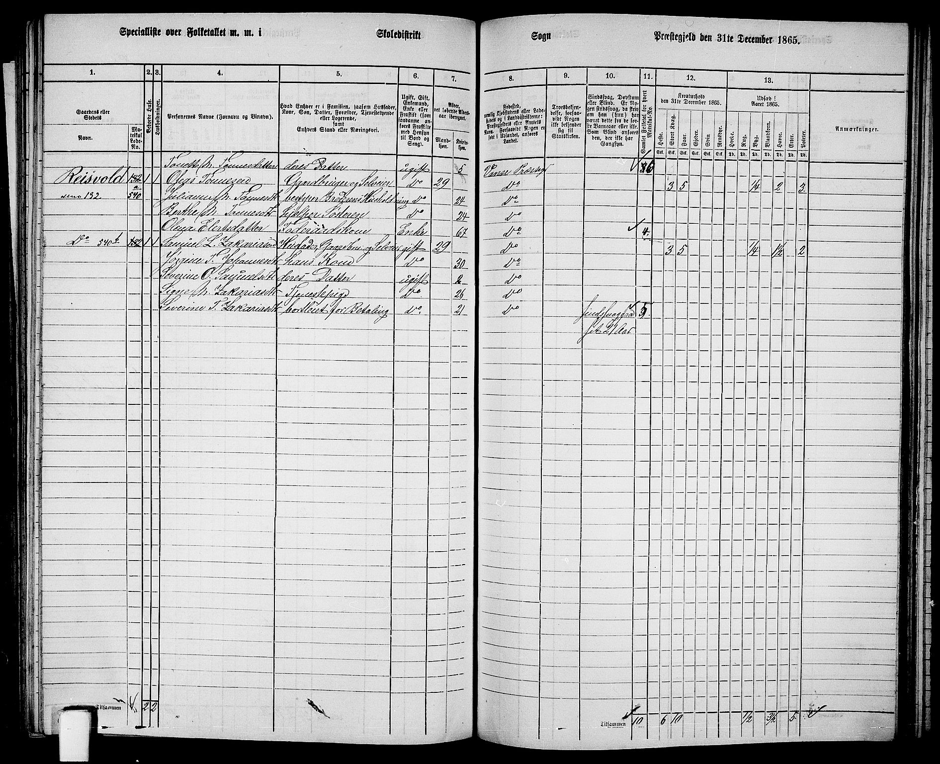 RA, 1865 census for Vanse/Vanse og Farsund, 1865, p. 207