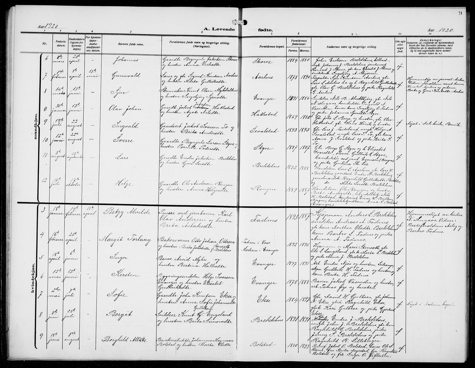 Evanger sokneprestembete, SAB/A-99924: Parish register (copy) no. A 6, 1918-1941, p. 9