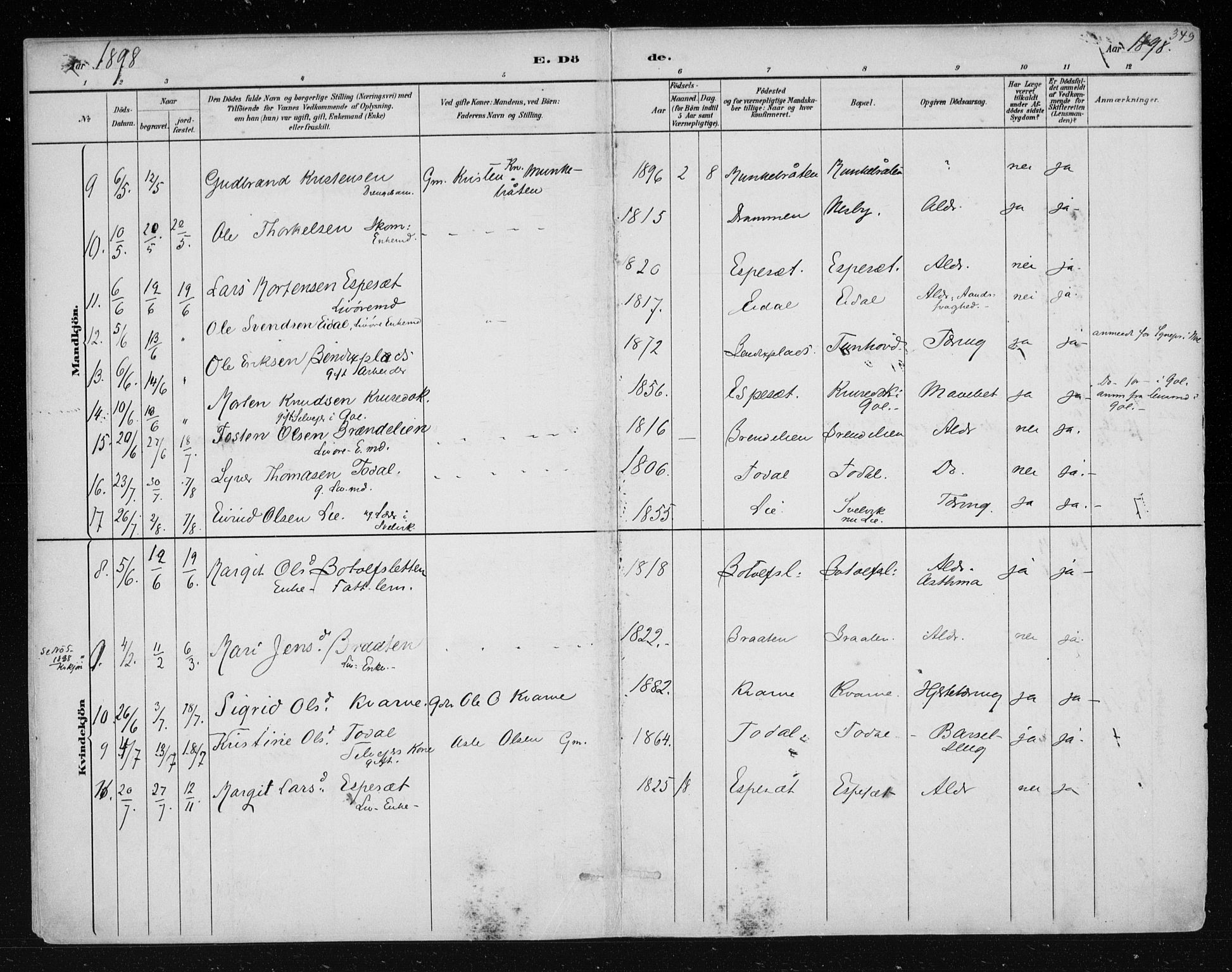 Nes kirkebøker, AV/SAKO-A-236/F/Fa/L0011: Parish register (official) no. 11, 1881-1912, p. 349