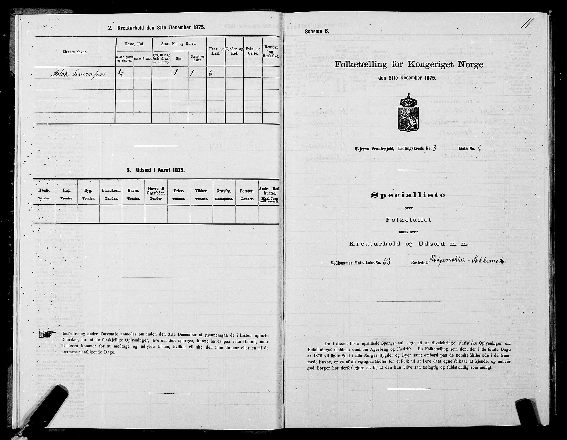 SATØ, 1875 census for 1941P Skjervøy, 1875, p. 2011