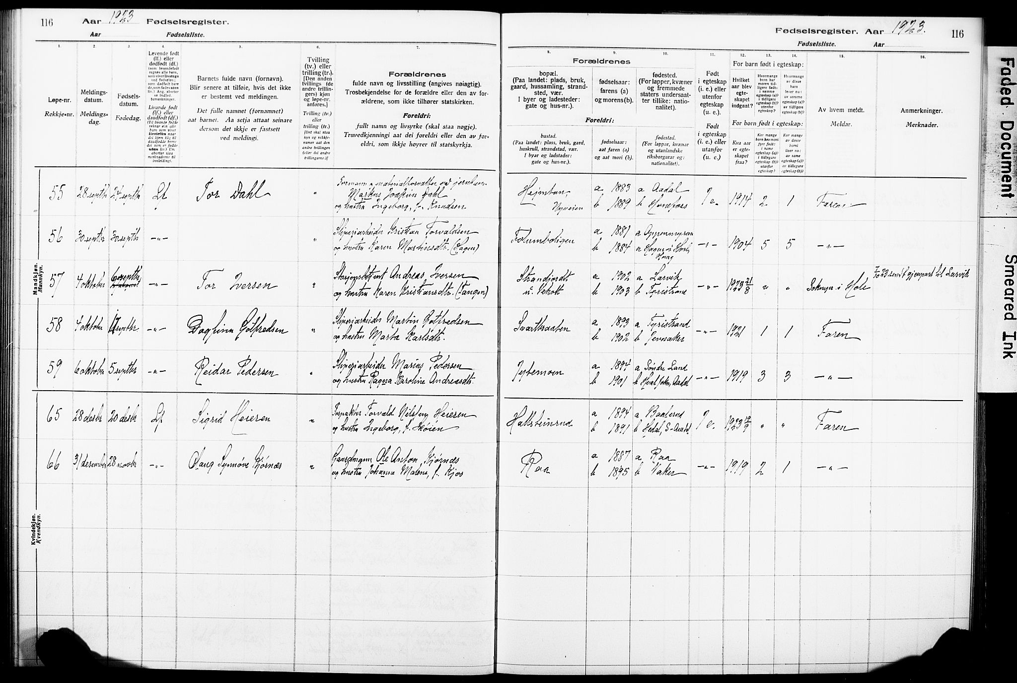 Norderhov kirkebøker, AV/SAKO-A-237/J/Ja/L0001: Birth register no. 1, 1916-1930, p. 116