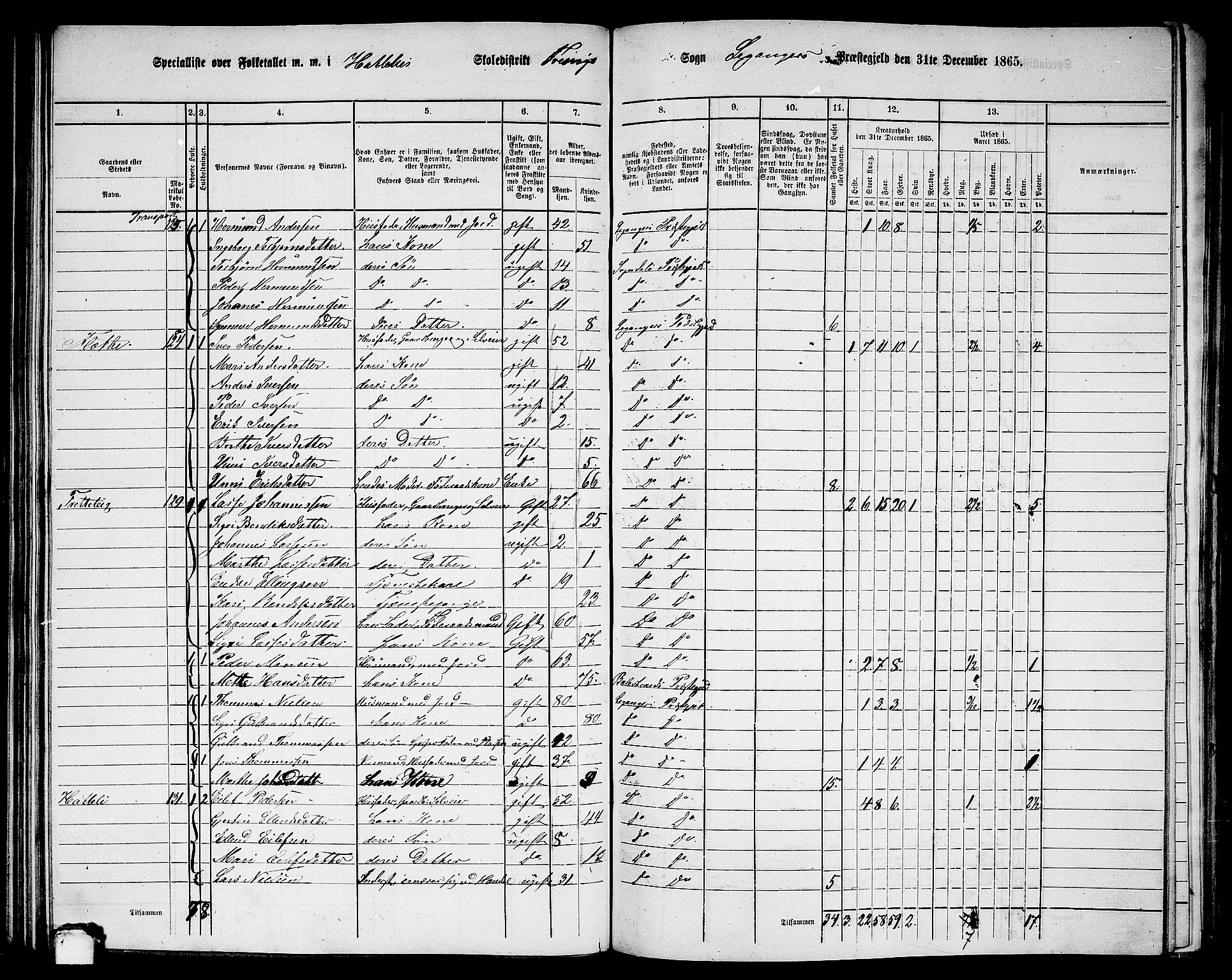 RA, 1865 census for Leikanger, 1865, p. 101