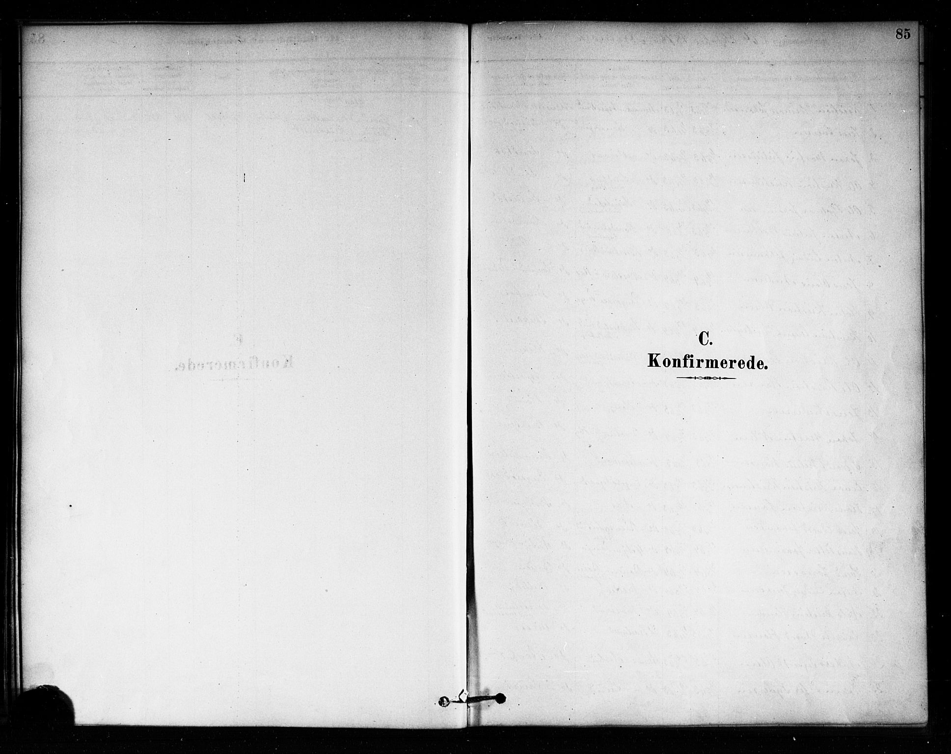 Aremark prestekontor Kirkebøker, AV/SAO-A-10899/F/Fa/L0005: Parish register (official) no. I 5, 1878-1897, p. 85