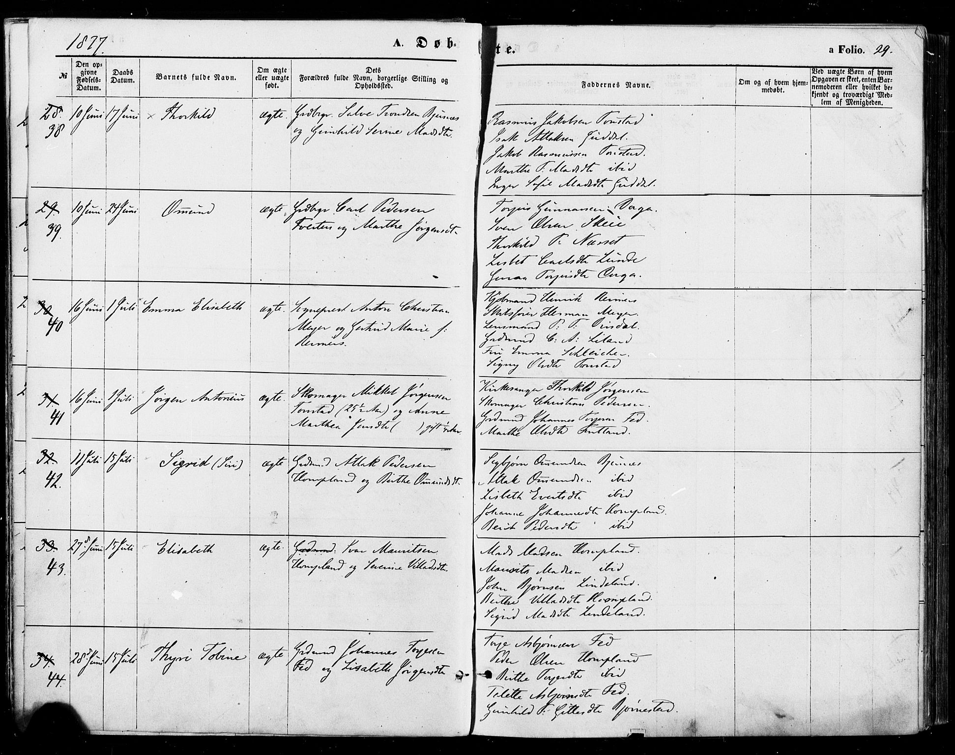 Sirdal sokneprestkontor, AV/SAK-1111-0036/F/Fa/Fab/L0003: Parish register (official) no. A 3, 1874-1886, p. 29