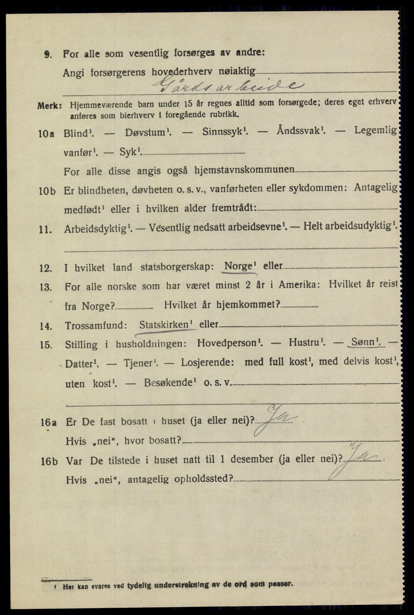 SAKO, 1920 census for Sannidal, 1920, p. 4904