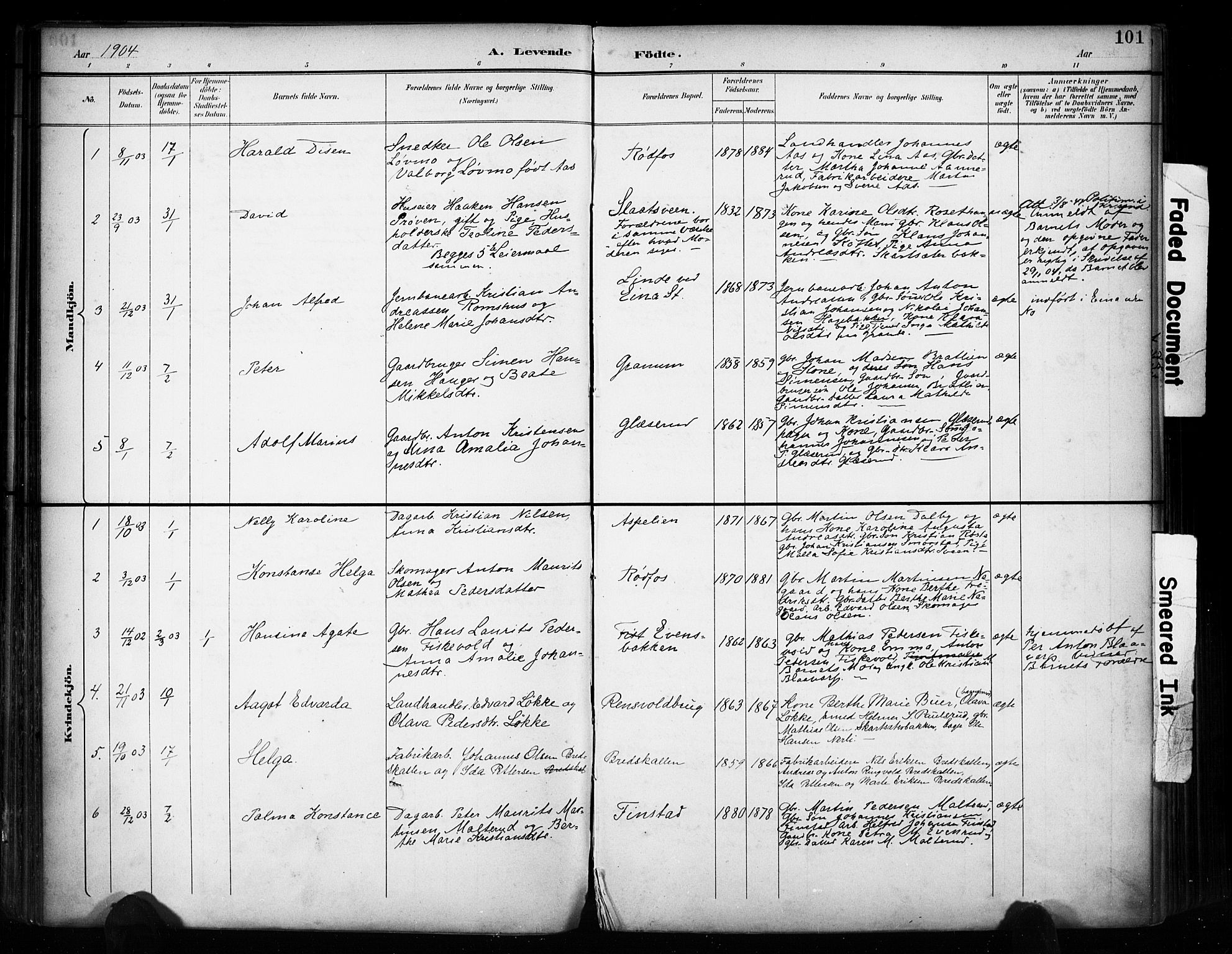 Vestre Toten prestekontor, SAH/PREST-108/H/Ha/Haa/L0011: Parish register (official) no. 11, 1895-1906, p. 101