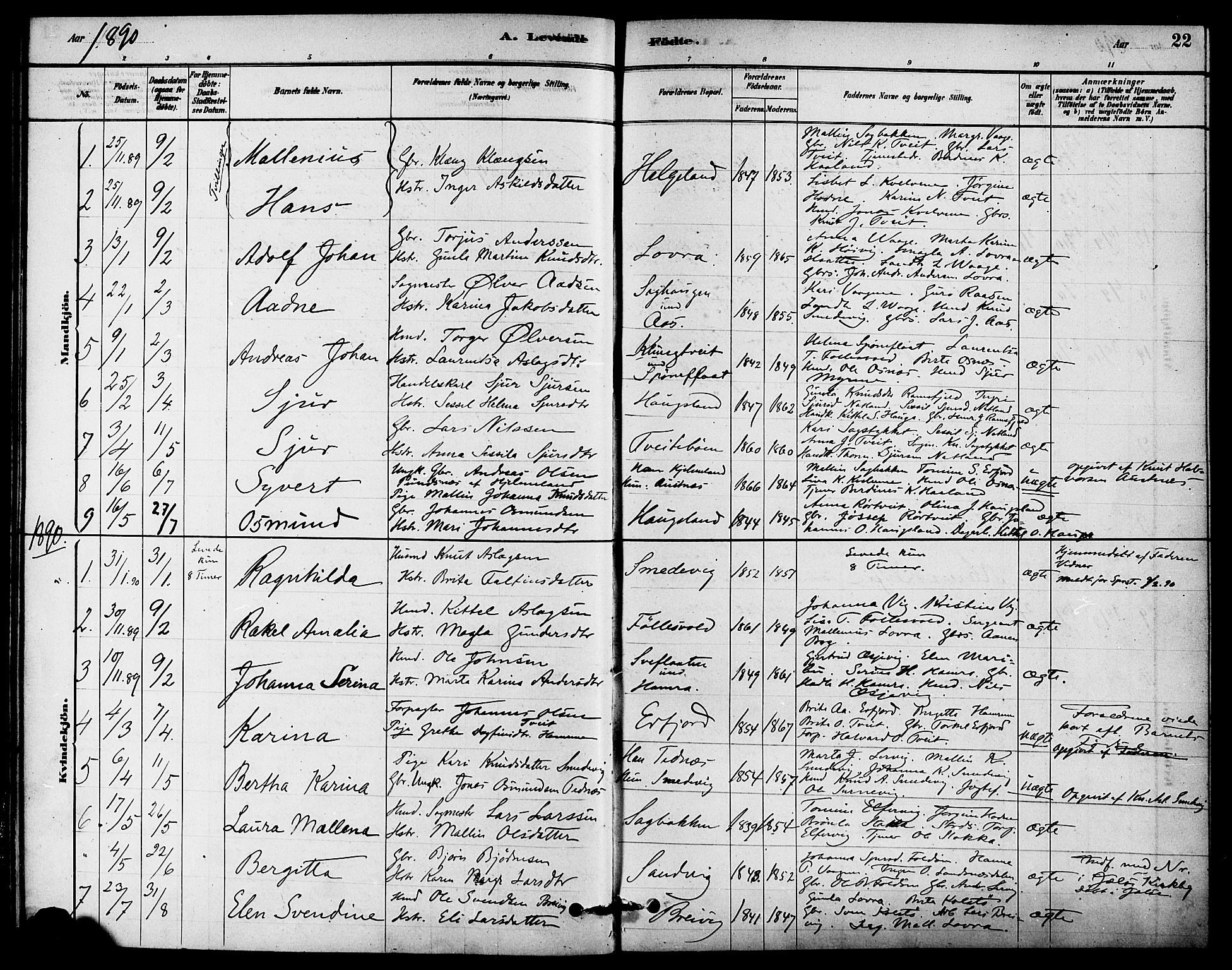 Jelsa sokneprestkontor, AV/SAST-A-101842/01/IV: Parish register (official) no. A 9, 1878-1898, p. 22