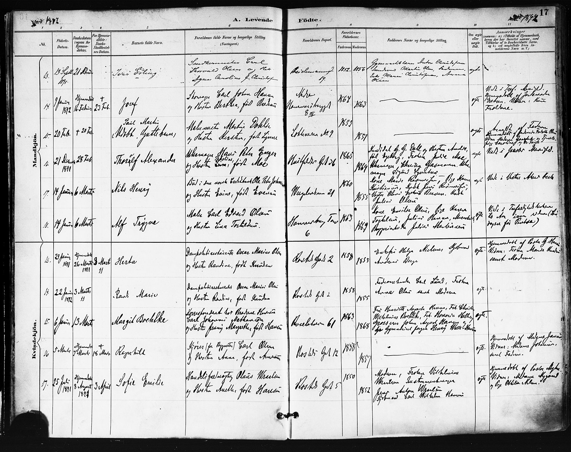 Trefoldighet prestekontor Kirkebøker, AV/SAO-A-10882/F/Fa/L0006: Parish register (official) no. I 6, 1891-1899, p. 17