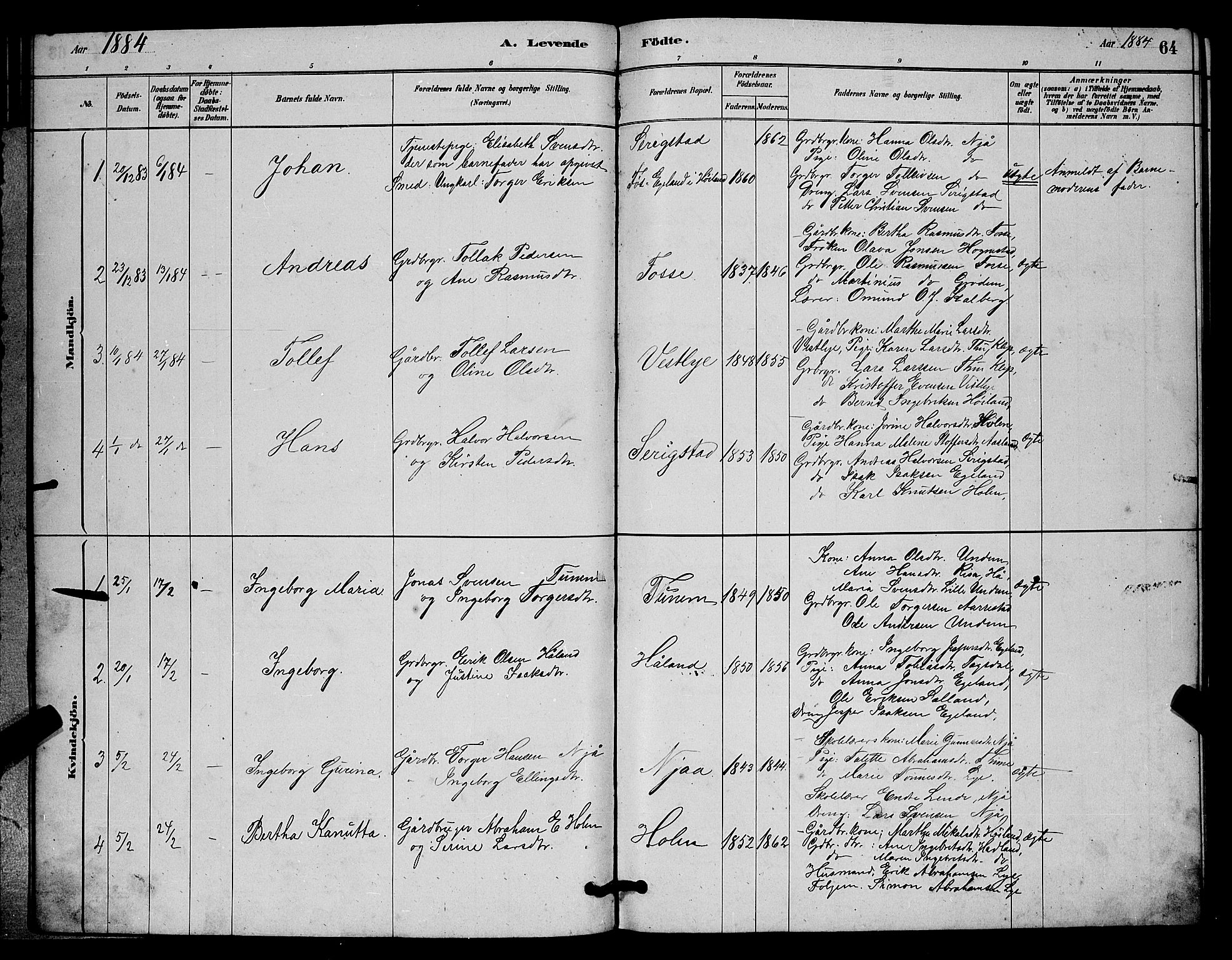 Lye sokneprestkontor, AV/SAST-A-101794/001/30BB/L0006: Parish register (copy) no. B 6, 1879-1888, p. 64