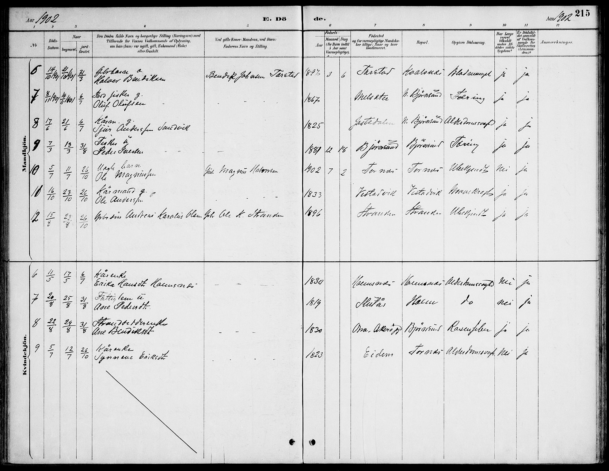 Ministerialprotokoller, klokkerbøker og fødselsregistre - Møre og Romsdal, AV/SAT-A-1454/565/L0750: Parish register (official) no. 565A04, 1887-1905, p. 215