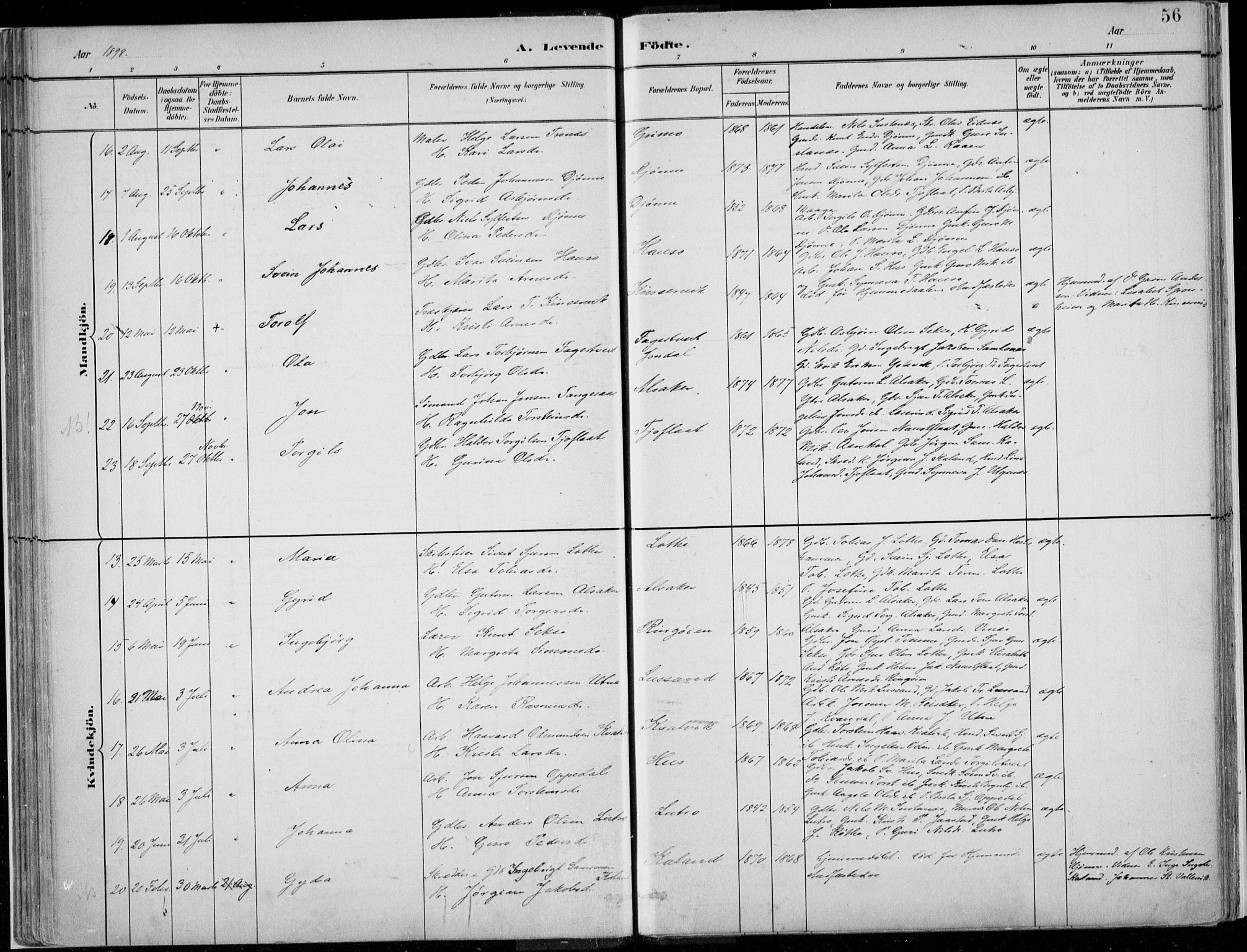 Ullensvang sokneprestembete, SAB/A-78701/H/Haa: Parish register (official) no. E  1, 1882-1921, p. 56