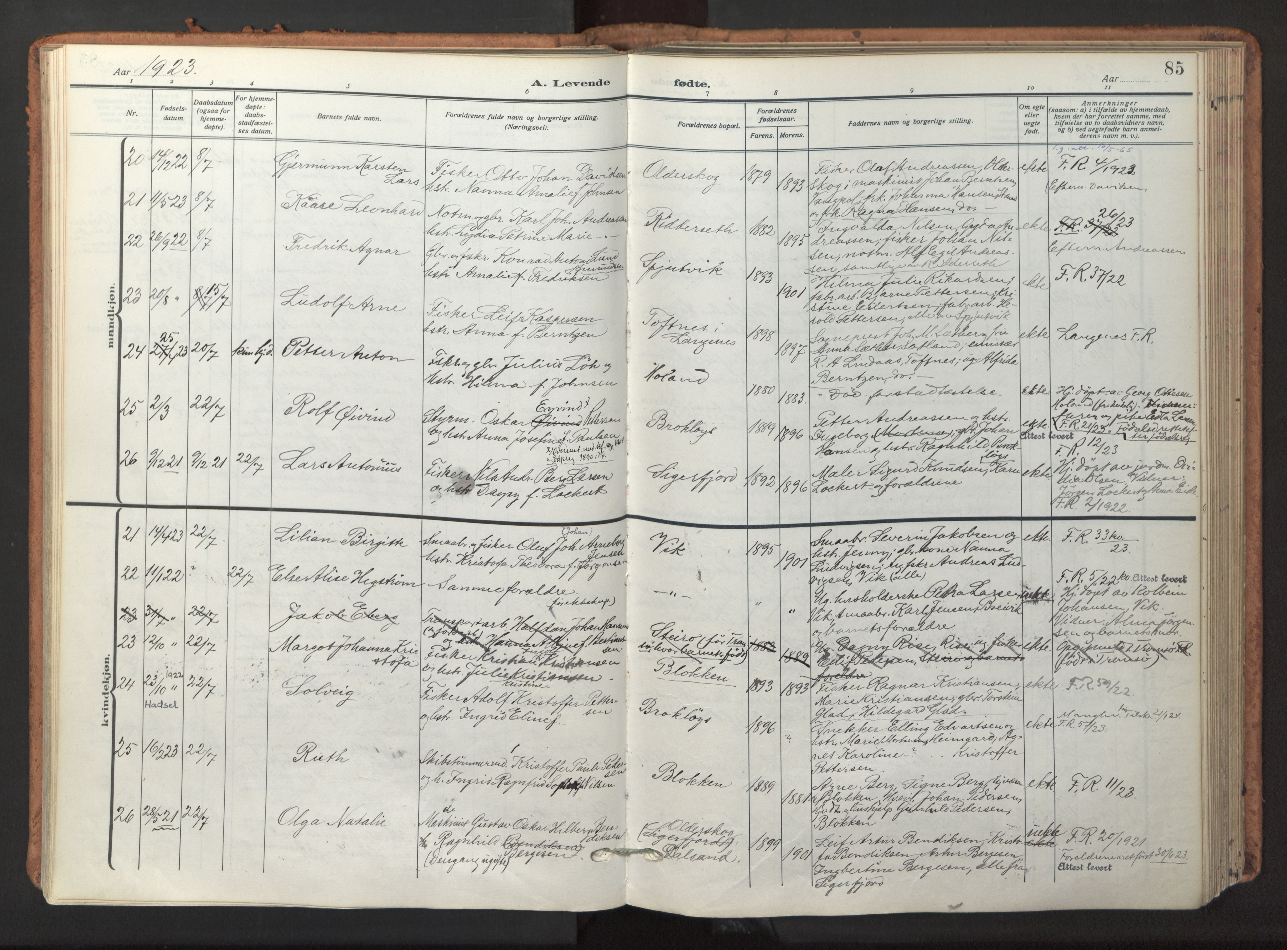 Ministerialprotokoller, klokkerbøker og fødselsregistre - Nordland, AV/SAT-A-1459/895/L1374: Parish register (official) no. 895A09, 1915-1925, p. 85