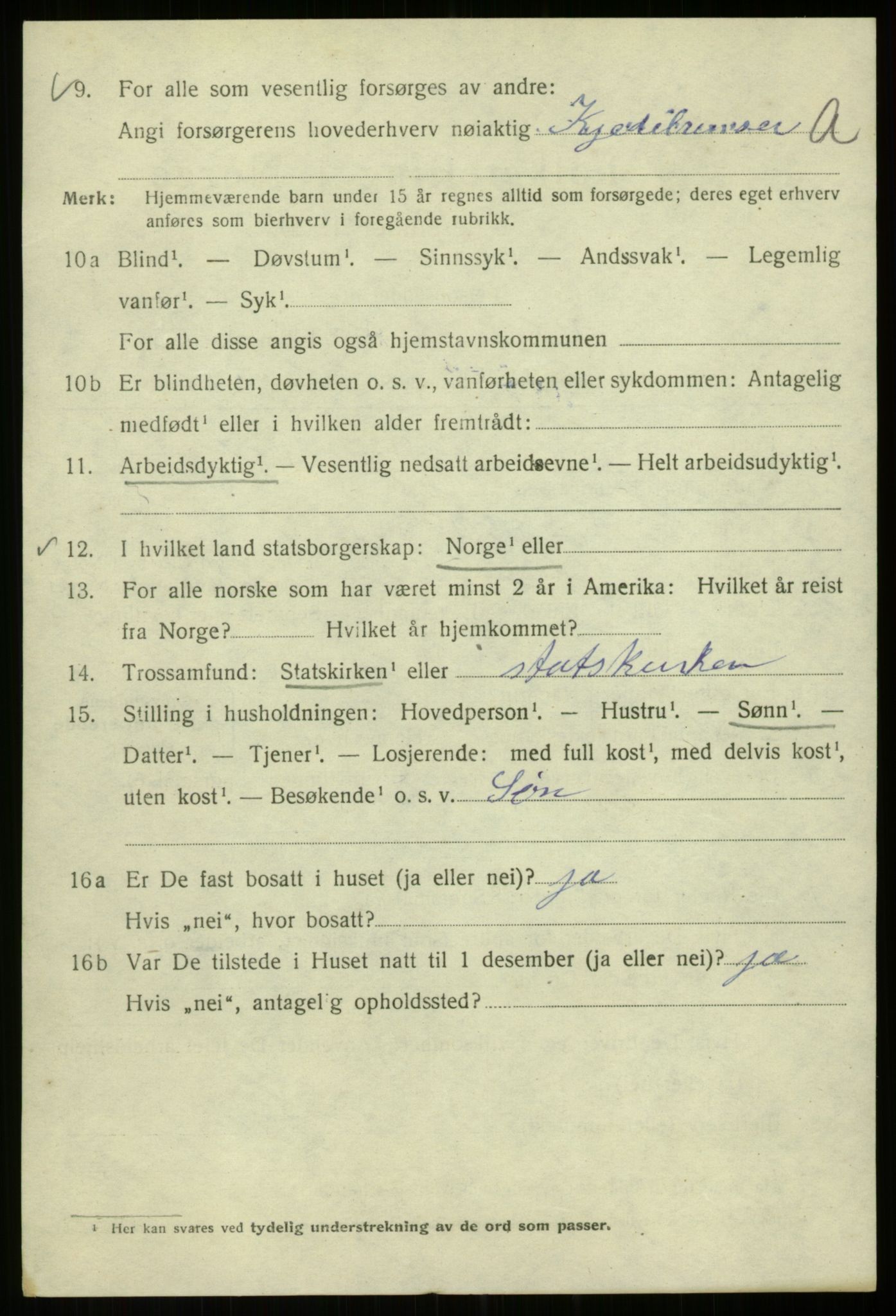 SAB, 1920 census for Bergen, 1920, p. 202019