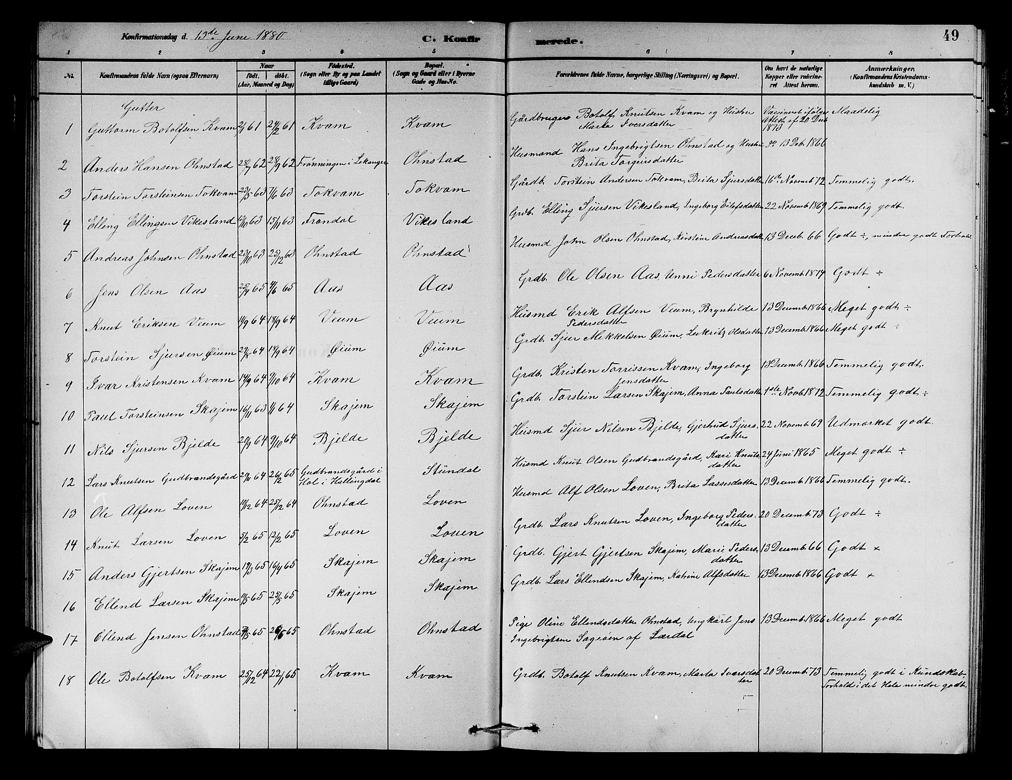 Aurland sokneprestembete, SAB/A-99937/H/Hb/Hba/L0002: Parish register (copy) no. A 2, 1880-1895, p. 49