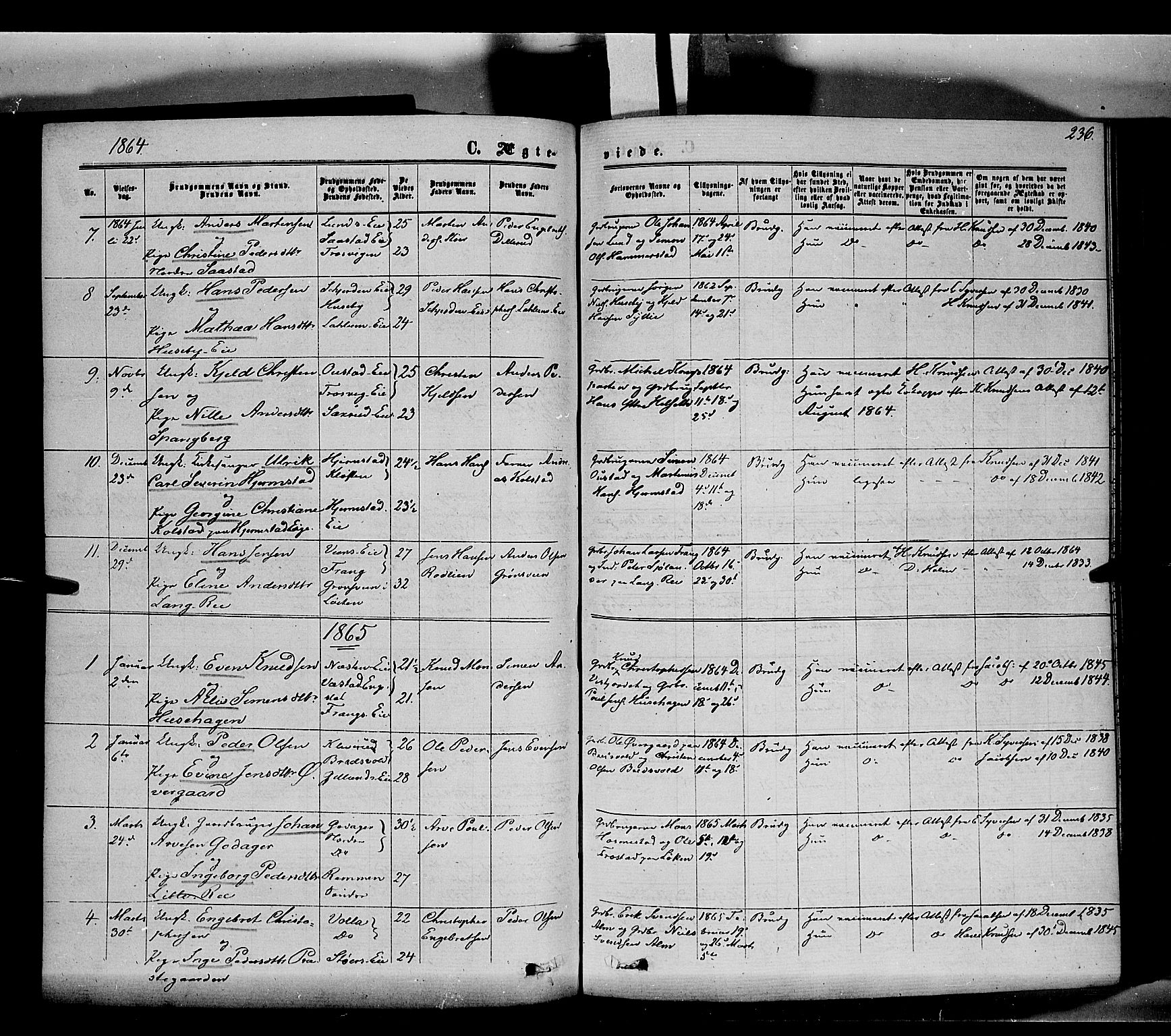 Stange prestekontor, SAH/PREST-002/K/L0013: Parish register (official) no. 13, 1862-1879, p. 236