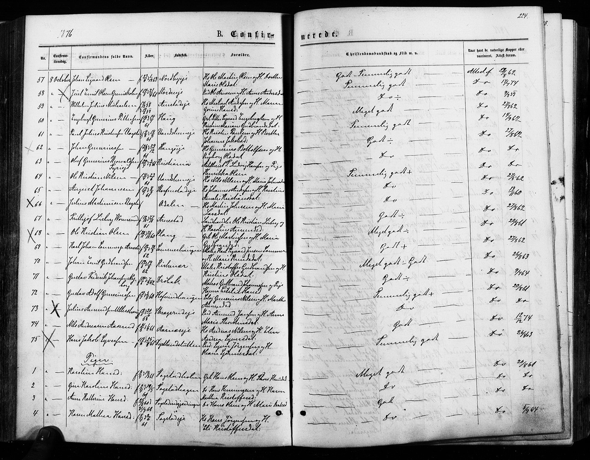 Nes prestekontor Kirkebøker, AV/SAO-A-10410/F/Fa/L0009: Parish register (official) no. I 9, 1875-1882, p. 224