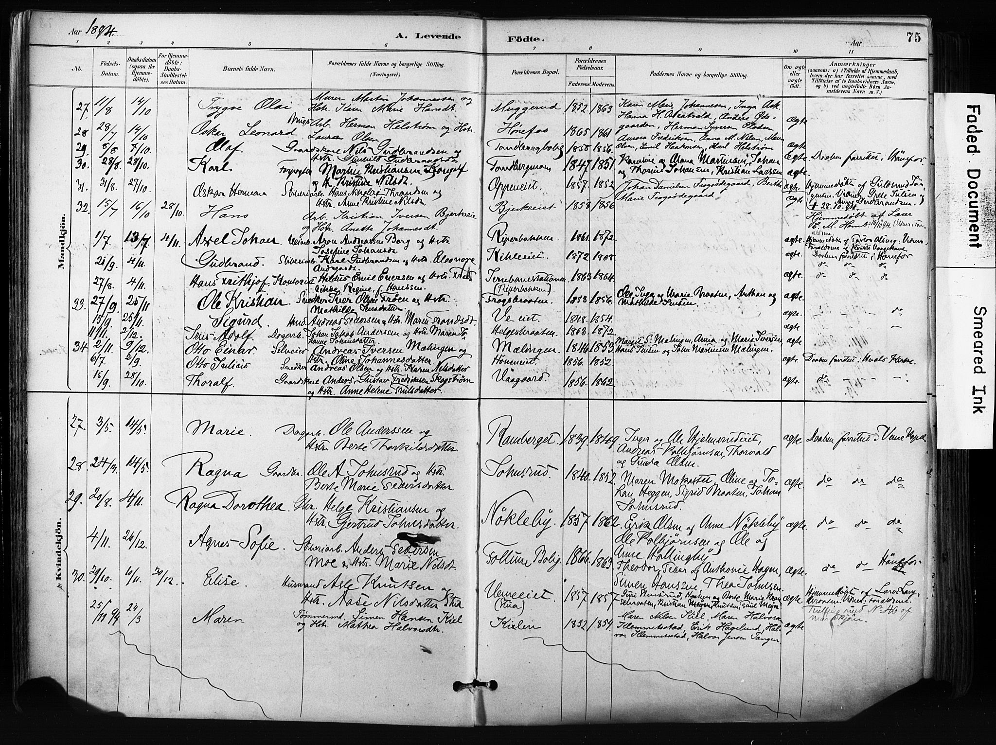 Norderhov kirkebøker, AV/SAKO-A-237/F/Fa/L0016: Parish register (official) no. 16, 1885-1902, p. 75