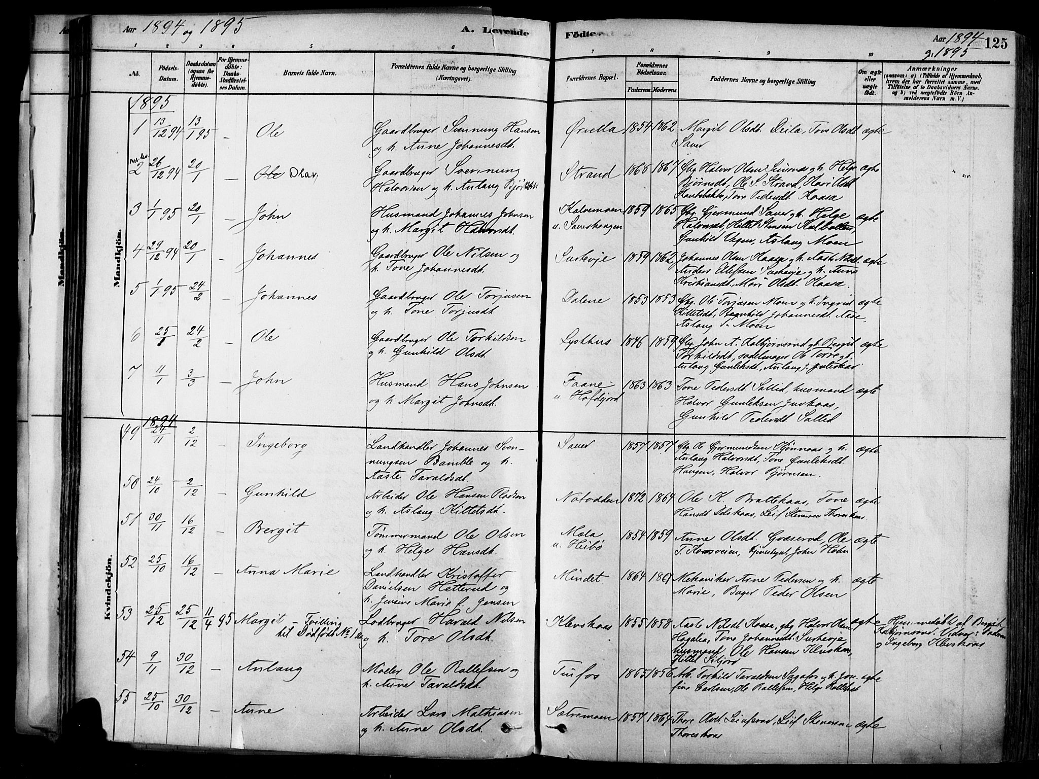 Heddal kirkebøker, SAKO/A-268/F/Fa/L0008: Parish register (official) no. I 8, 1878-1903, p. 125