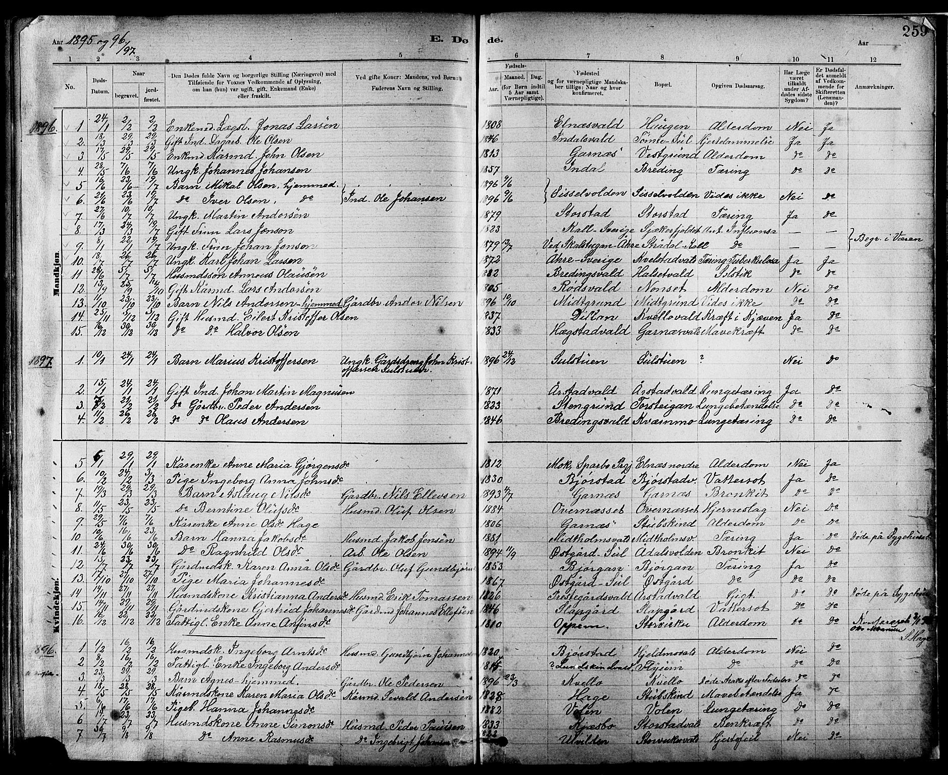 Ministerialprotokoller, klokkerbøker og fødselsregistre - Nord-Trøndelag, SAT/A-1458/724/L0267: Parish register (copy) no. 724C03, 1879-1898, p. 259