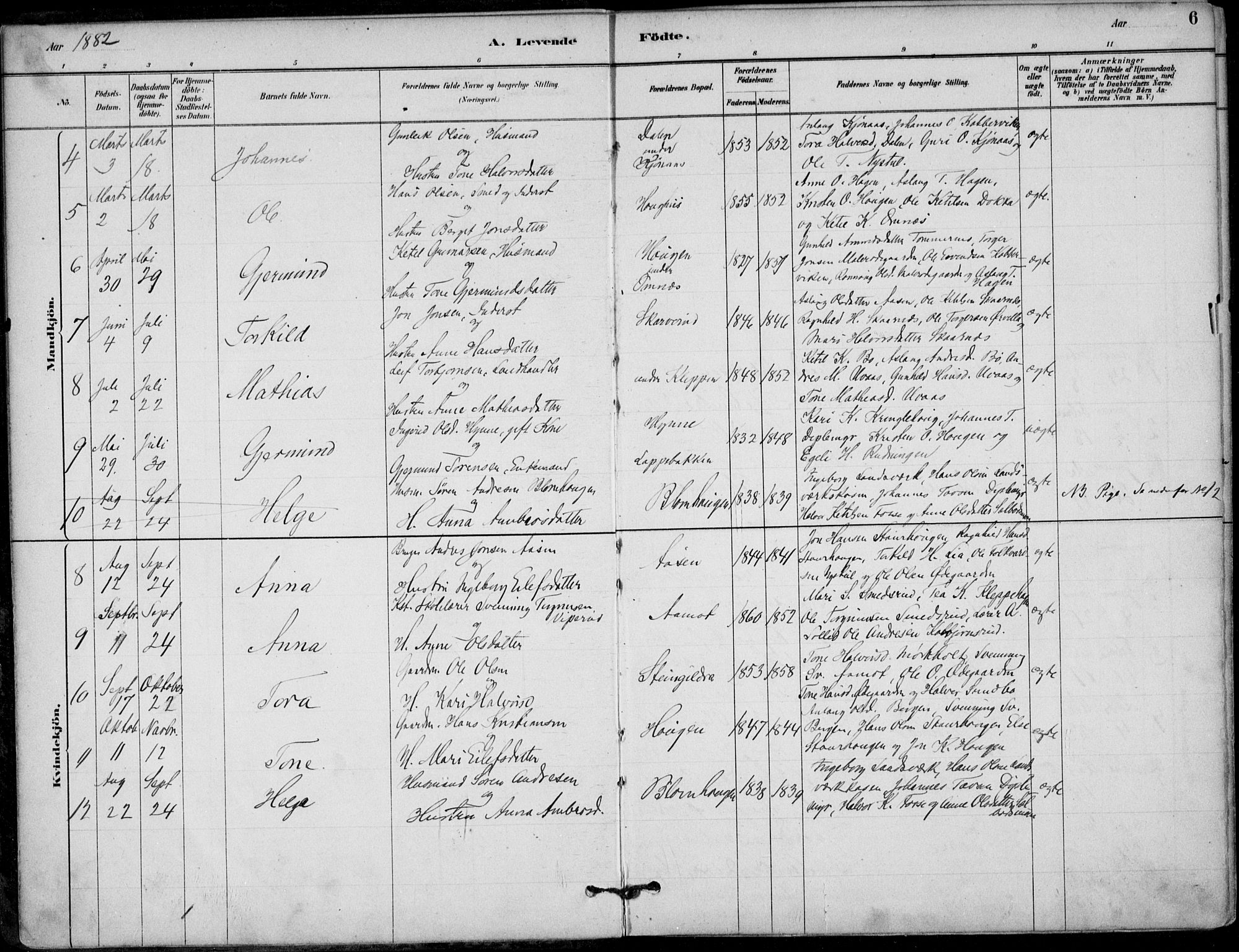 Hjartdal kirkebøker, AV/SAKO-A-270/F/Fb/L0002: Parish register (official) no. II 2, 1880-1932, p. 6