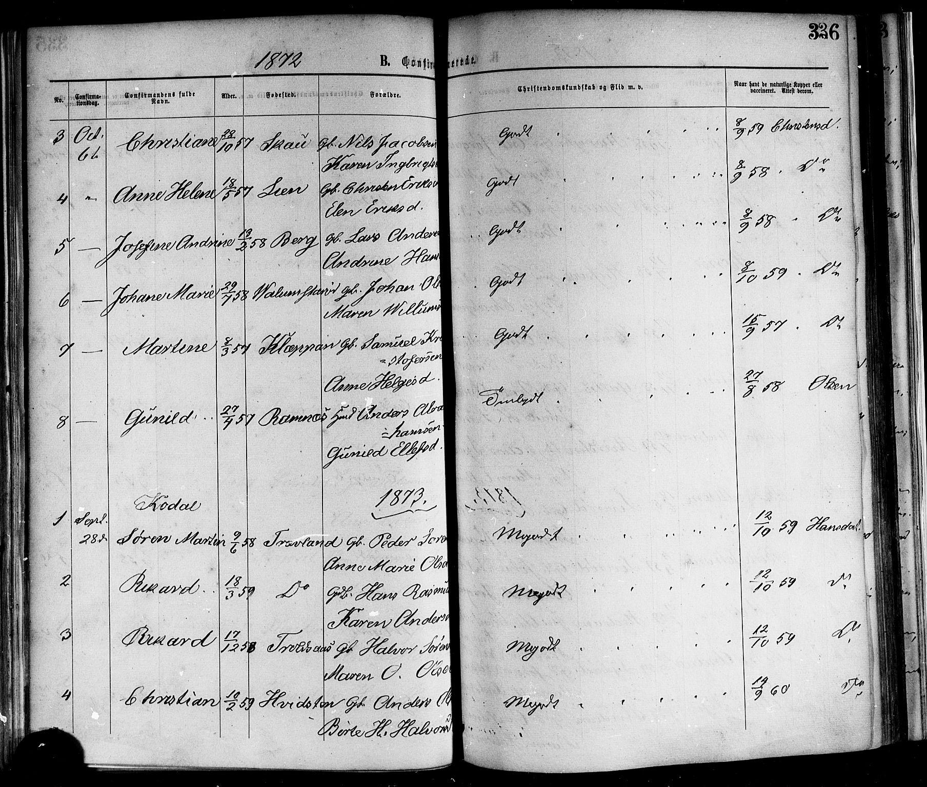 Andebu kirkebøker, AV/SAKO-A-336/F/Fa/L0006: Parish register (official) no. I 6, 1871-1878, p. 336