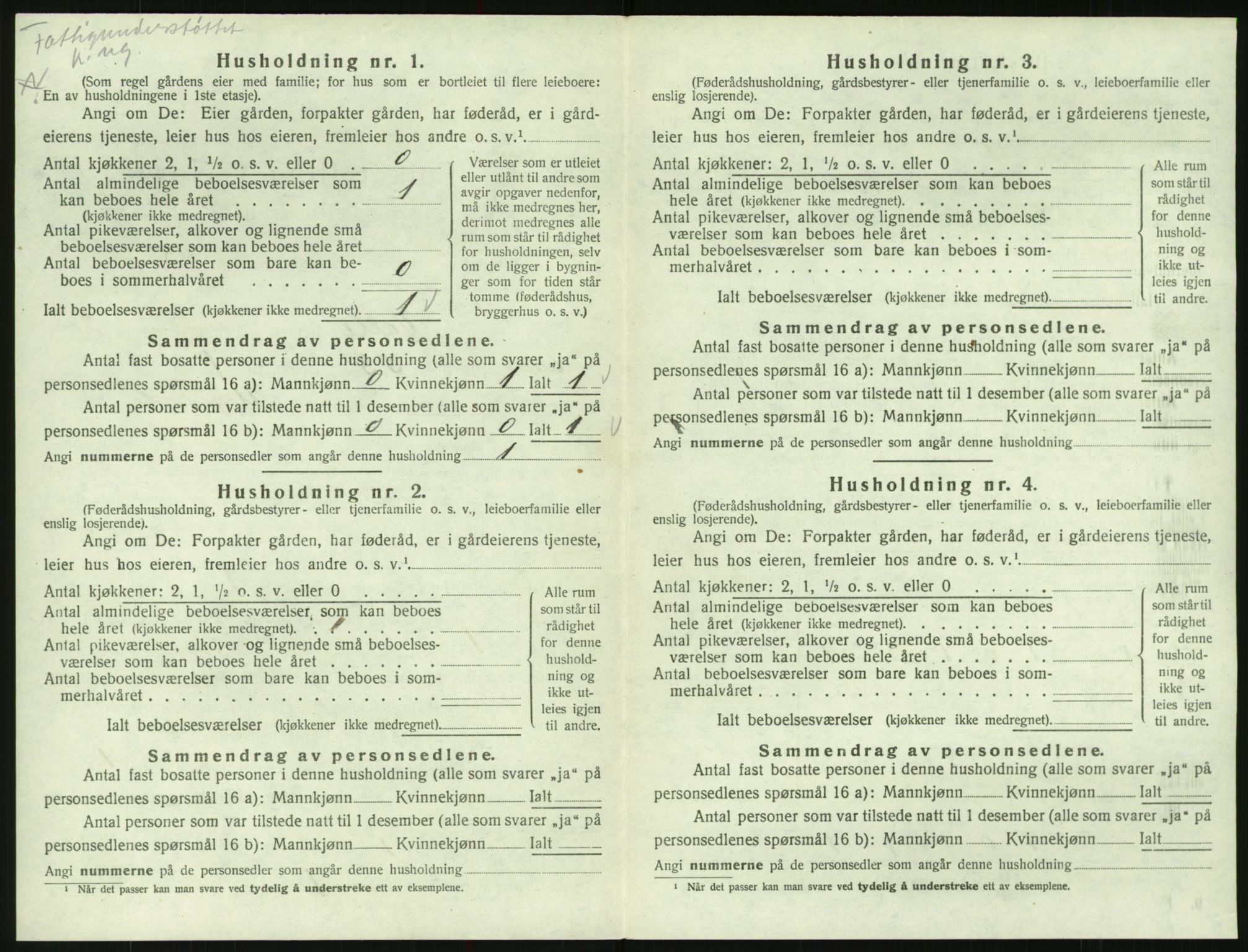 SAK, 1920 census for Valle, 1920, p. 206