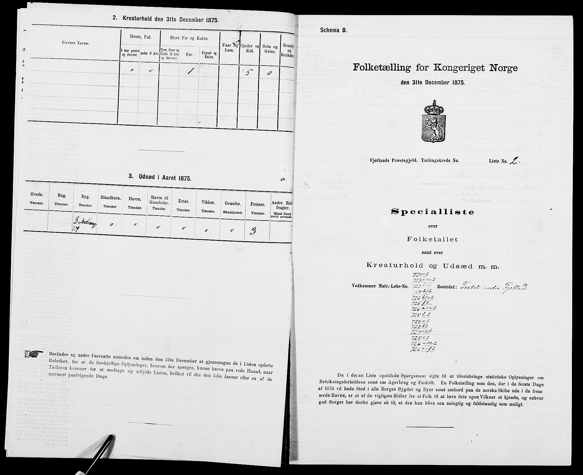 SAK, 1875 census for 1036P Fjotland, 1875, p. 217