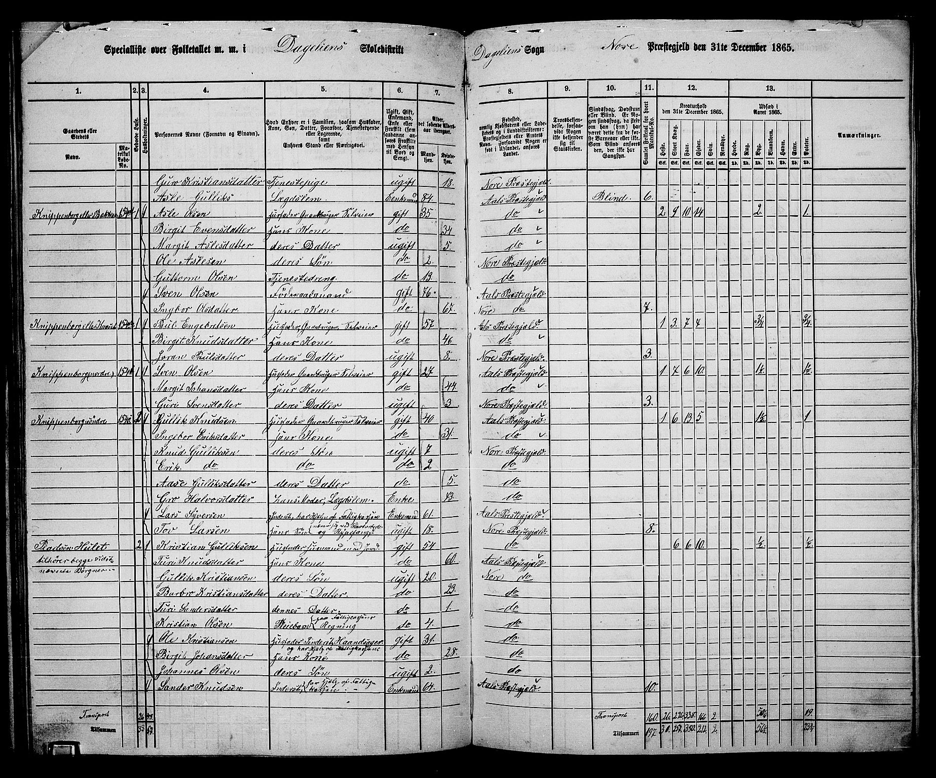 RA, 1865 census for Nore, 1865, p. 143