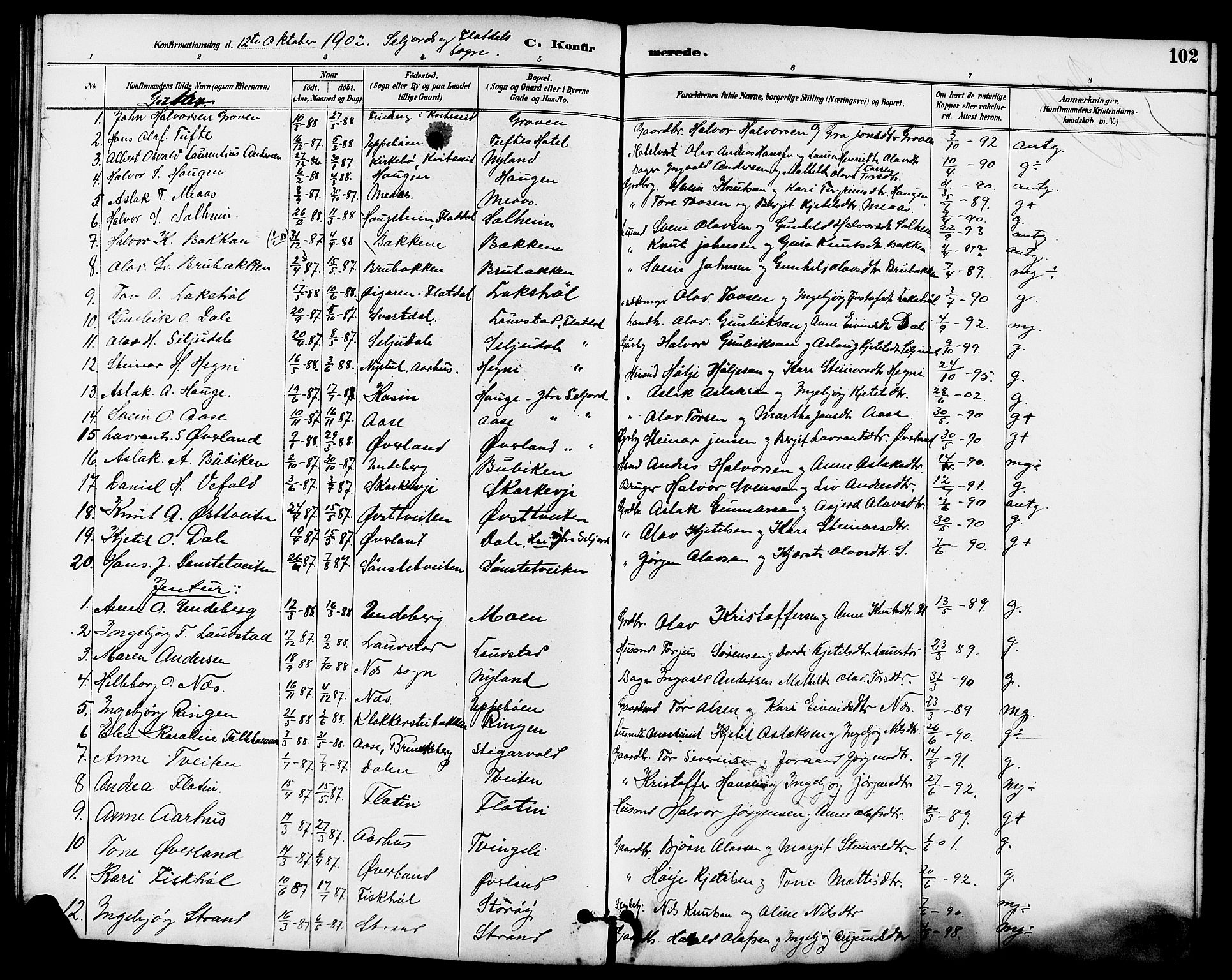 Seljord kirkebøker, SAKO/A-20/G/Ga/L0005: Parish register (copy) no. I 5, 1887-1914, p. 102