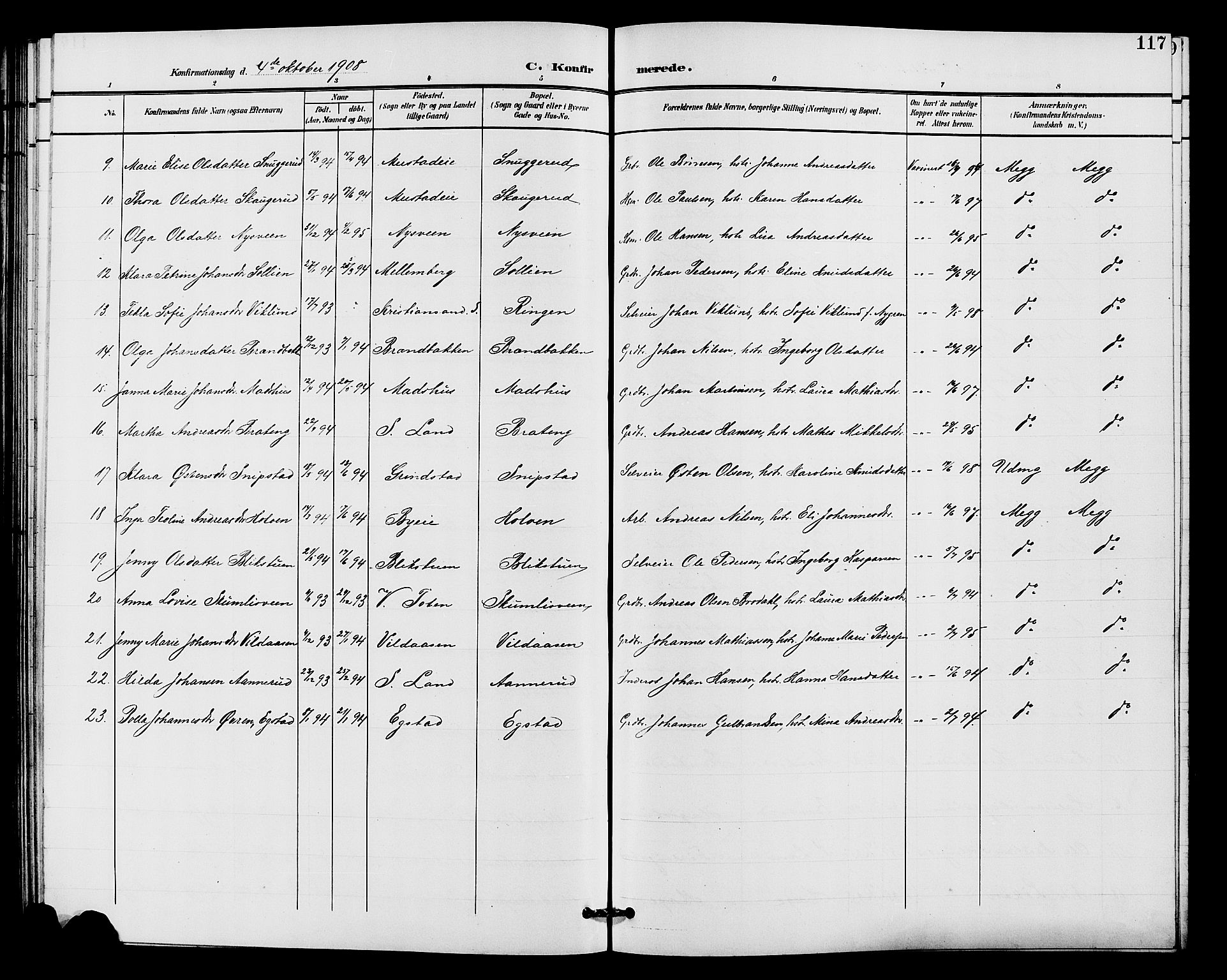 Vardal prestekontor, SAH/PREST-100/H/Ha/Hab/L0011: Parish register (copy) no. 11, 1899-1913, p. 117