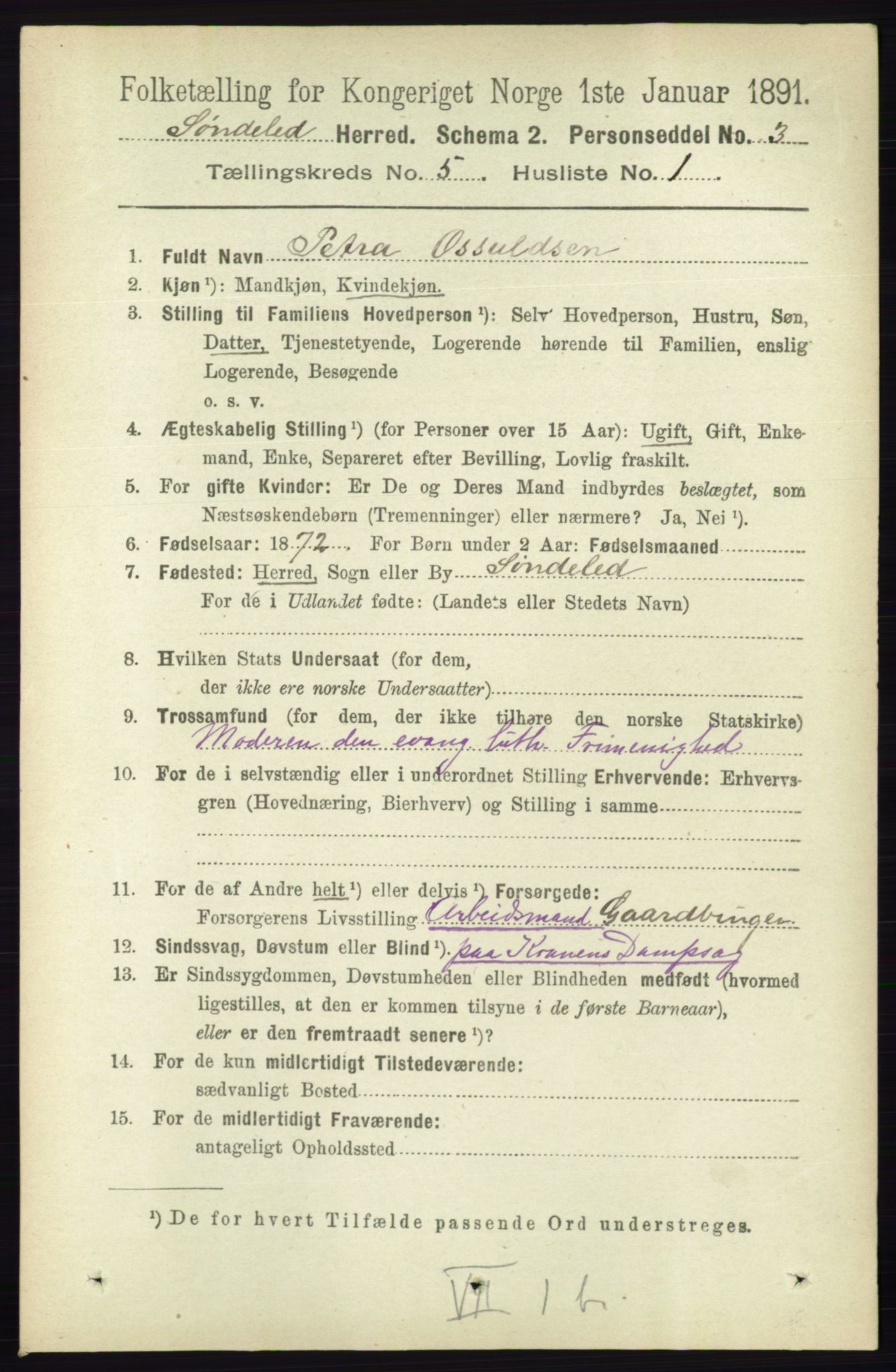 RA, 1891 census for 0913 Søndeled, 1891, p. 1219