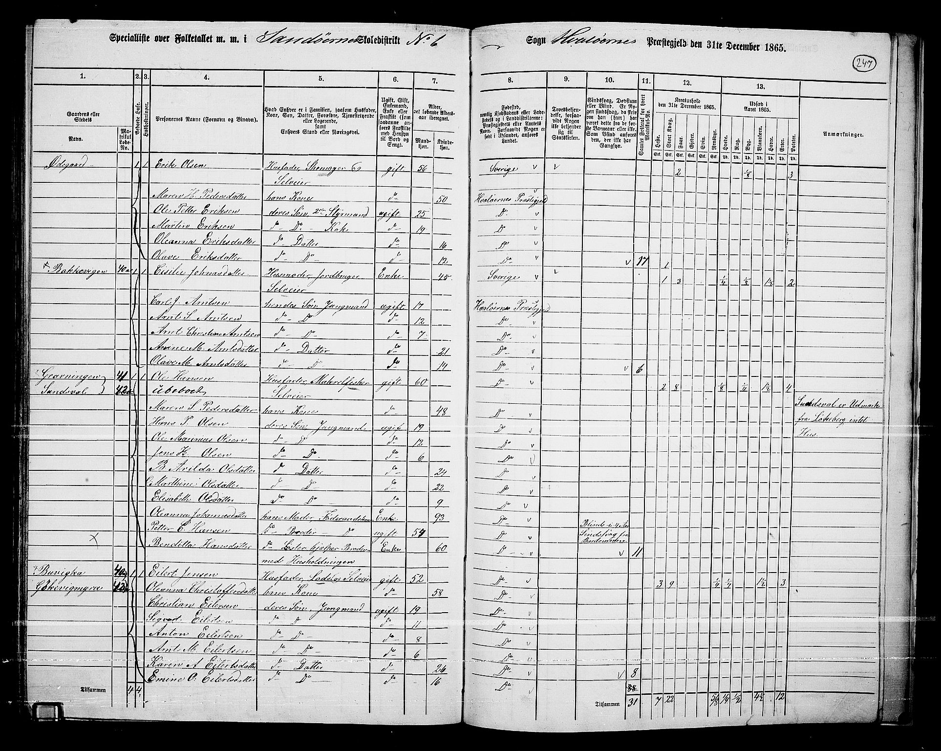 RA, 1865 census for Hvaler, 1865, p. 81