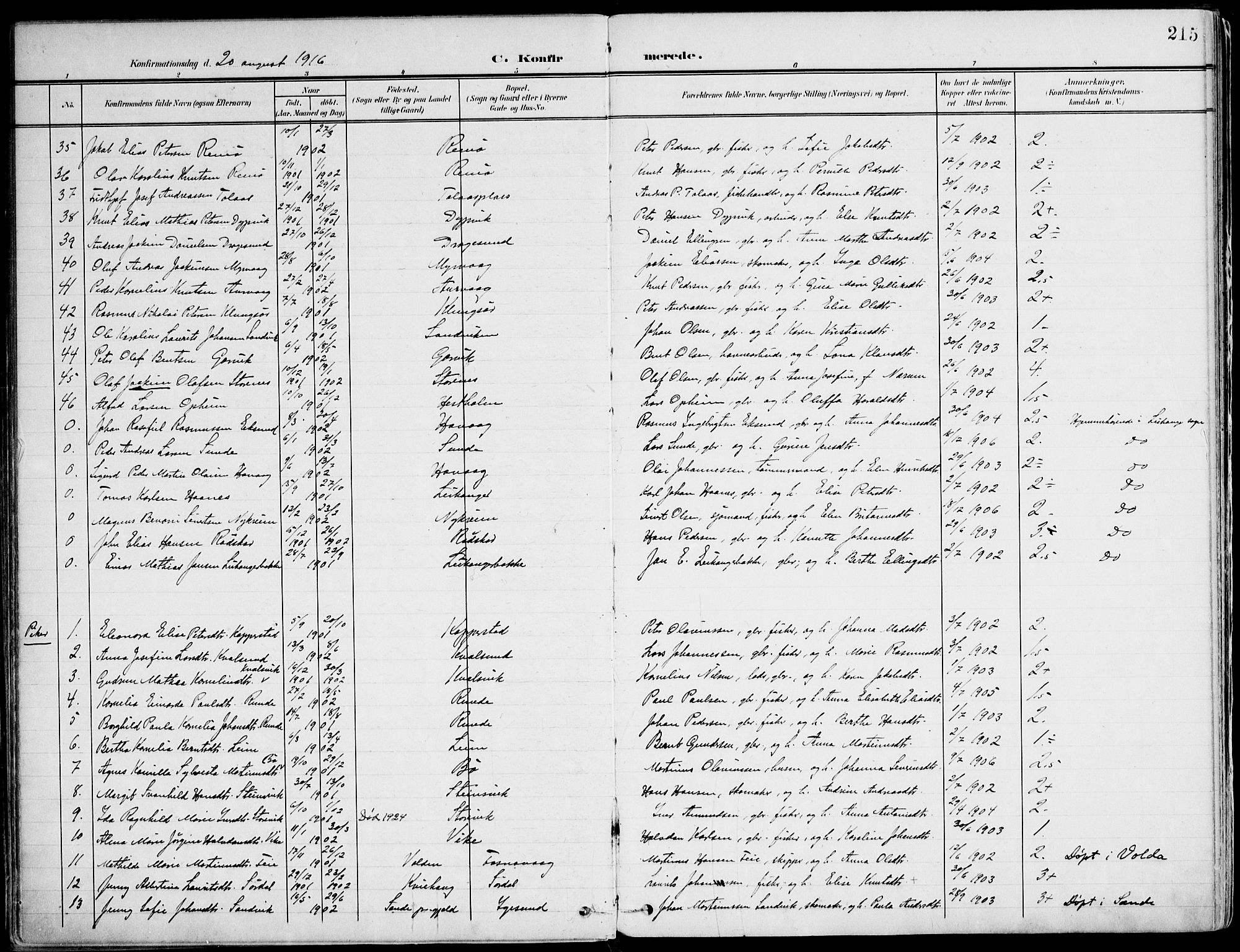 Ministerialprotokoller, klokkerbøker og fødselsregistre - Møre og Romsdal, AV/SAT-A-1454/507/L0075: Parish register (official) no. 507A10, 1901-1920, p. 215