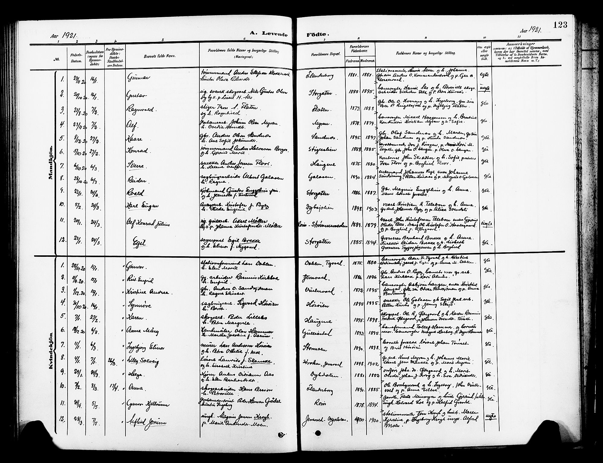 Ministerialprotokoller, klokkerbøker og fødselsregistre - Sør-Trøndelag, SAT/A-1456/681/L0942: Parish register (copy) no. 681C06, 1906-1925, p. 123