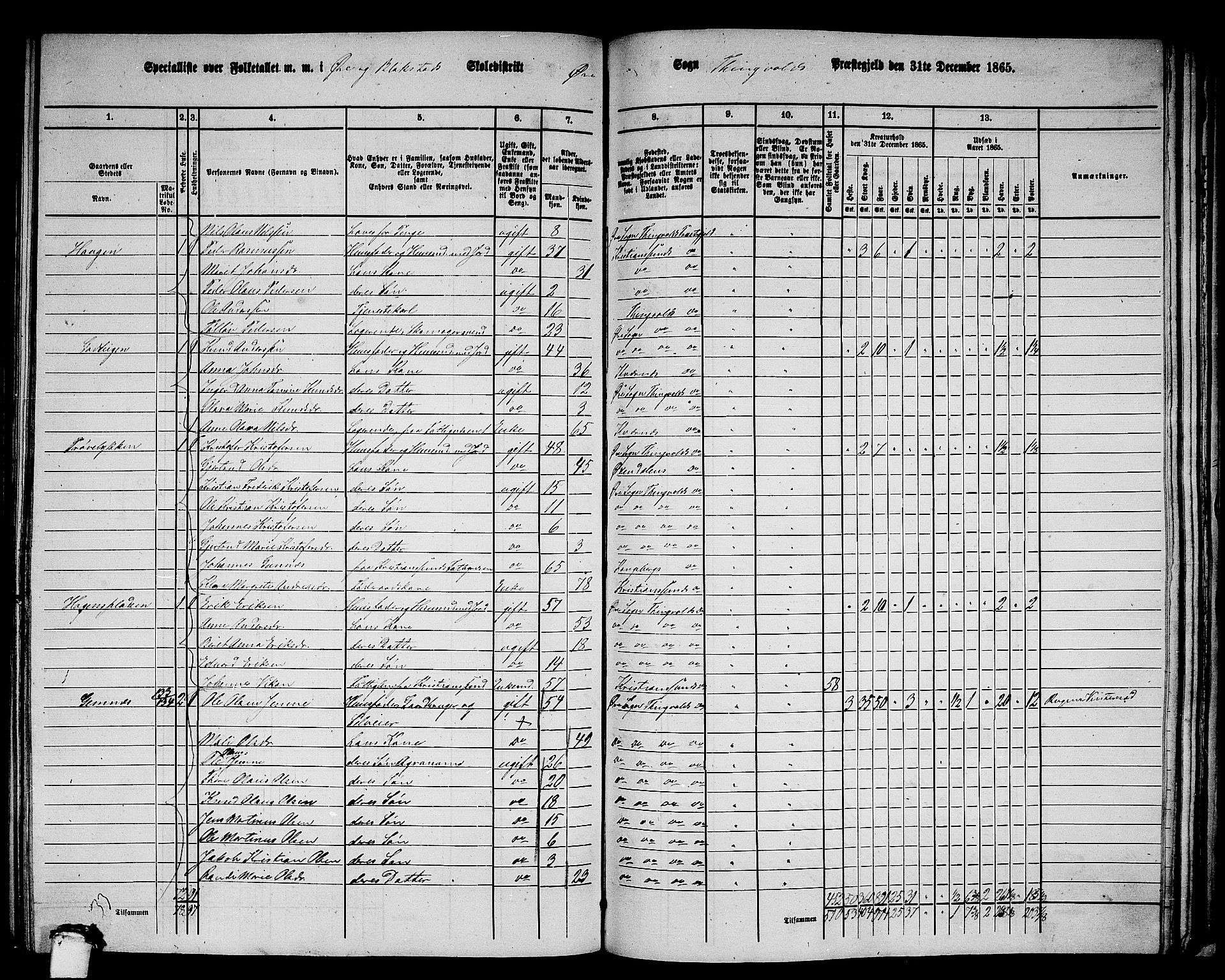 RA, 1865 census for Tingvoll, 1865, p. 204