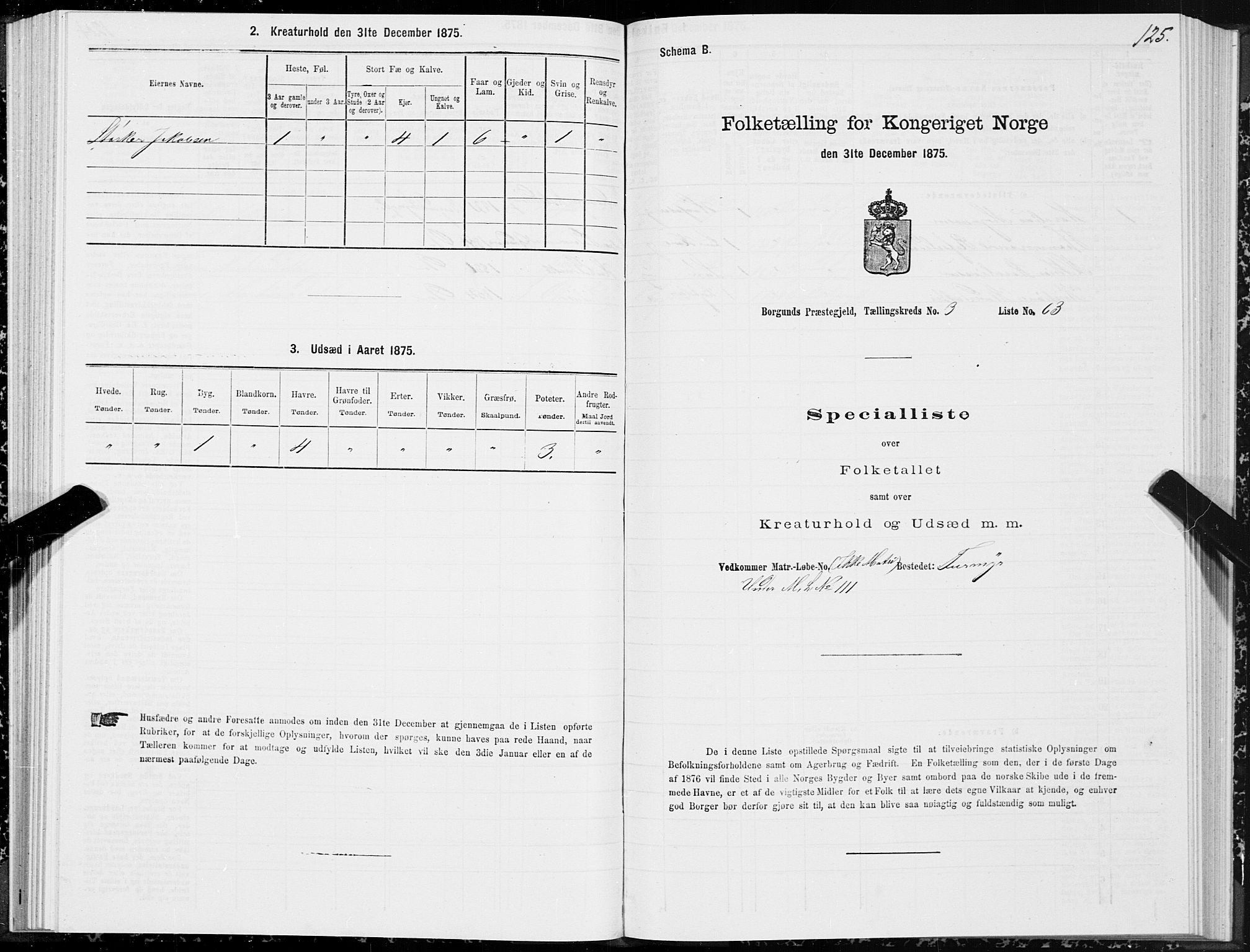 SAT, 1875 census for 1531P Borgund, 1875, p. 2125