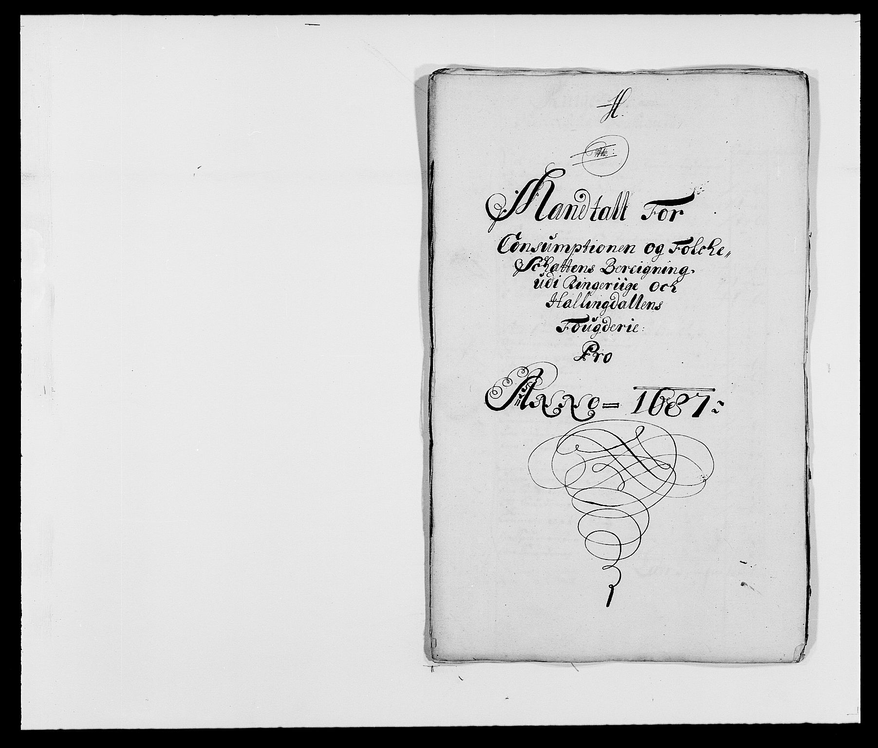 Rentekammeret inntil 1814, Reviderte regnskaper, Fogderegnskap, RA/EA-4092/R21/L1447: Fogderegnskap Ringerike og Hallingdal, 1687-1689, p. 66