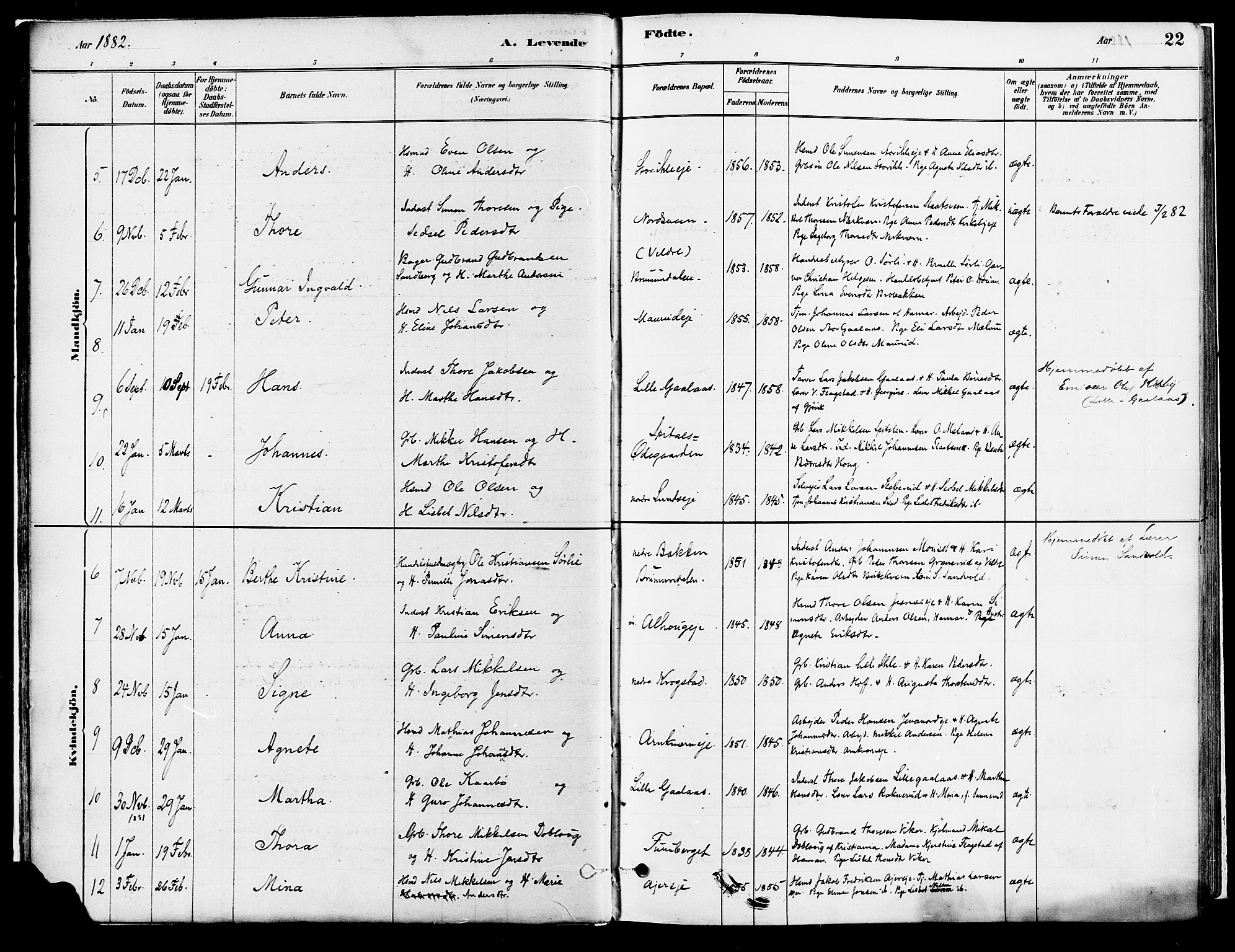 Vang prestekontor, Hedmark, AV/SAH-PREST-008/H/Ha/Haa/L0018A: Parish register (official) no. 18A, 1880-1906, p. 22