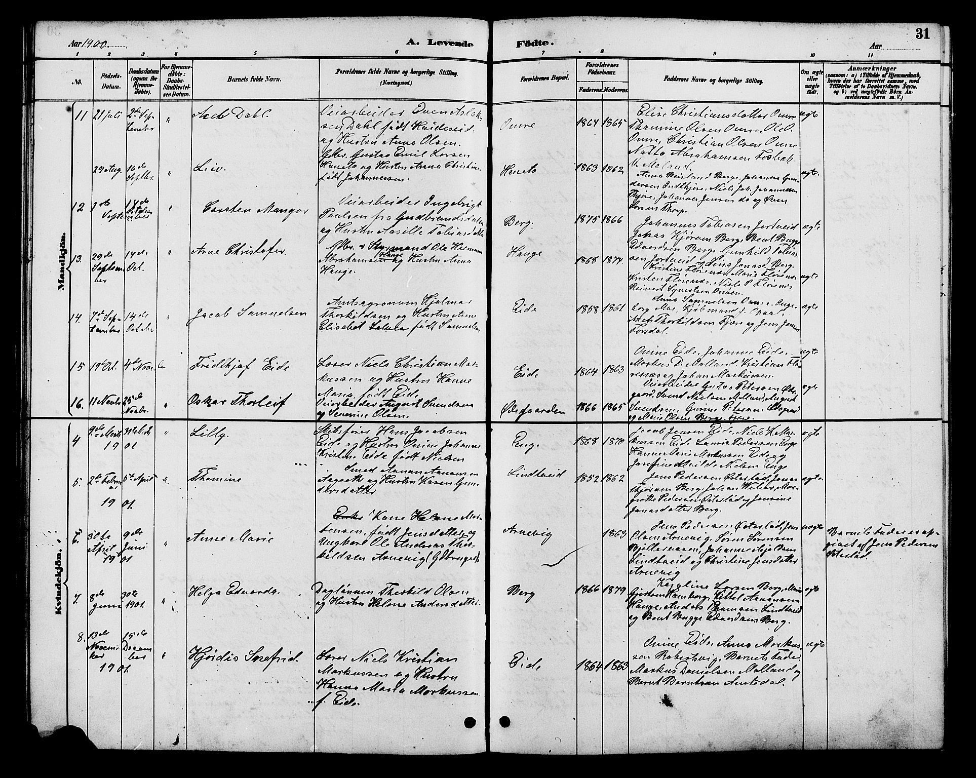 Hommedal sokneprestkontor, SAK/1111-0023/F/Fb/Fba/L0004: Parish register (copy) no. B 4, 1885-1908, p. 31