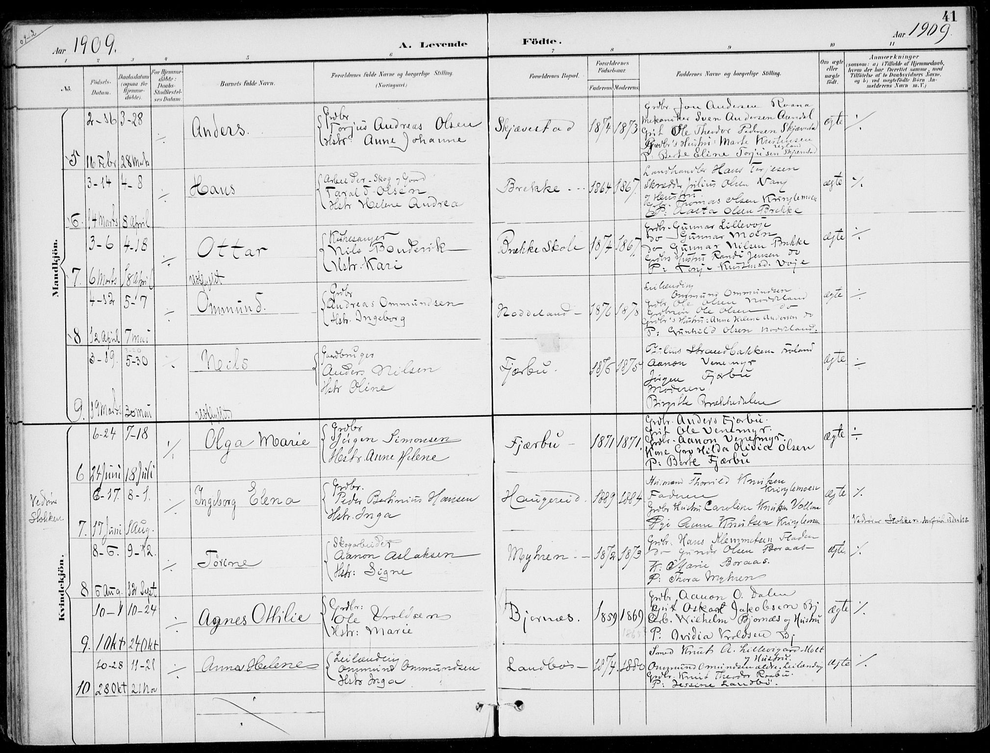 Austre Moland sokneprestkontor, SAK/1111-0001/F/Fa/Faa/L0011: Parish register (official) no. A 11, 1894-1915, p. 41