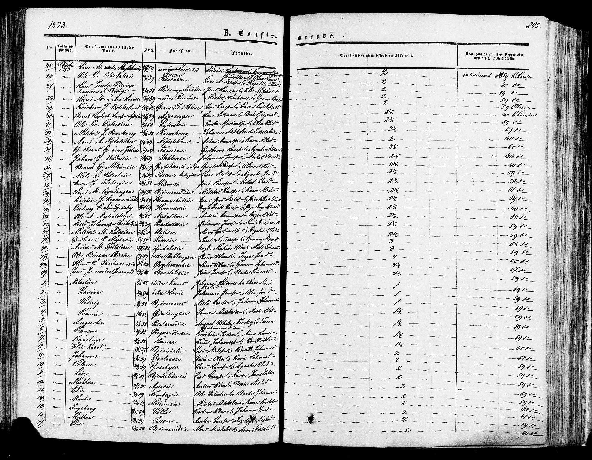 Vang prestekontor, Hedmark, SAH/PREST-008/H/Ha/Haa/L0013: Parish register (official) no. 13, 1855-1879, p. 202