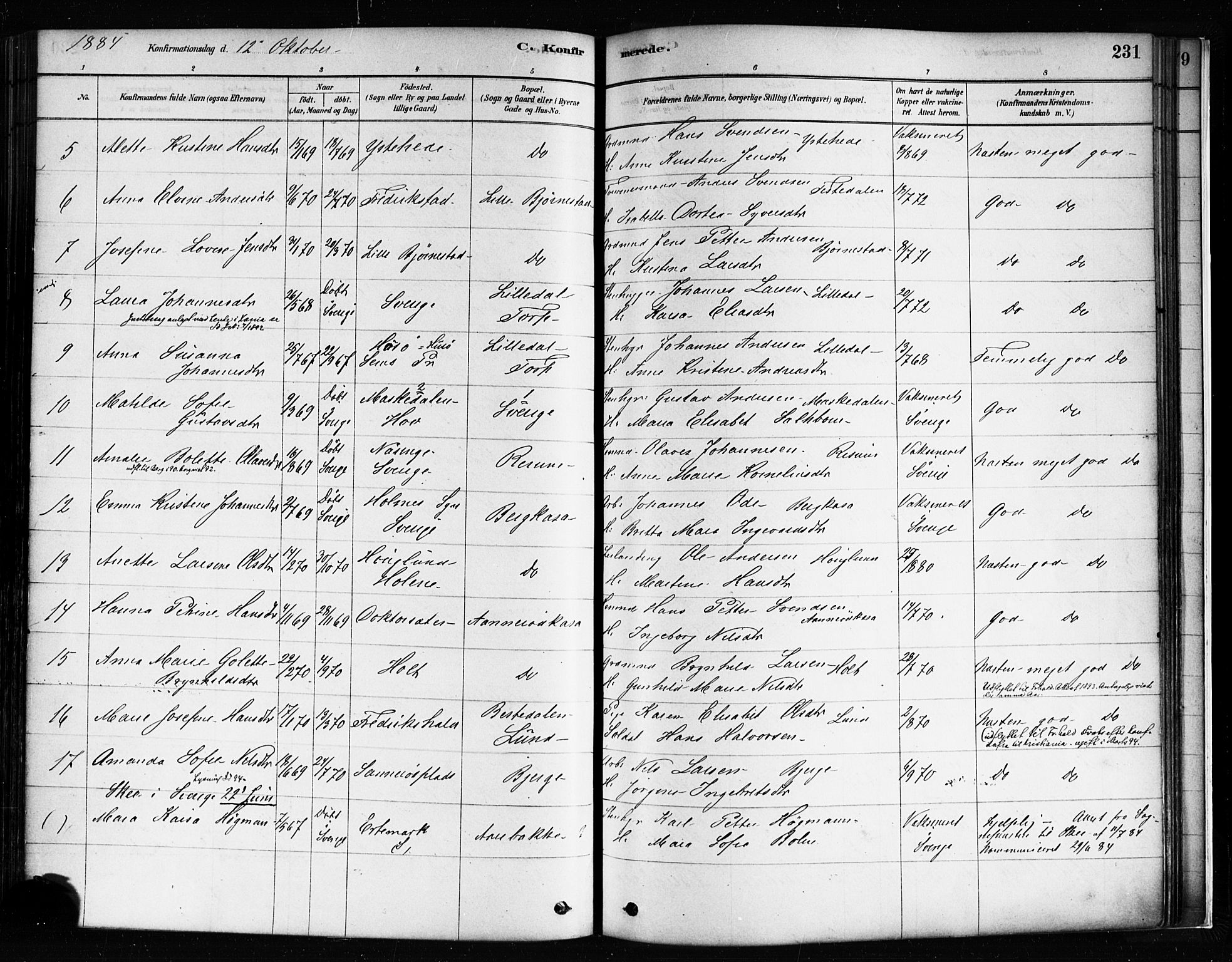 Idd prestekontor Kirkebøker, AV/SAO-A-10911/F/Fc/L0006a: Parish register (official) no. III 6A, 1878-1903, p. 231