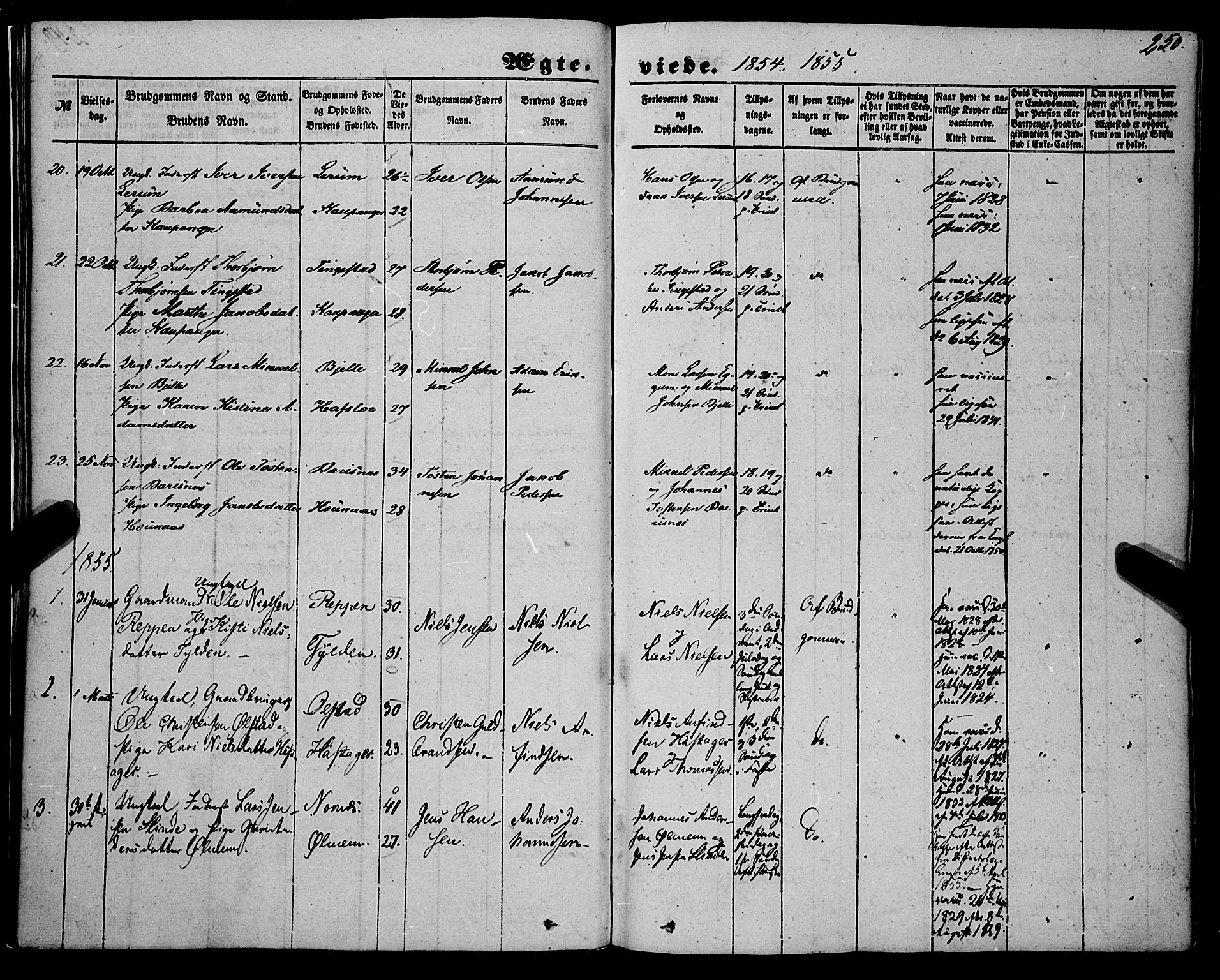 Sogndal sokneprestembete, AV/SAB-A-81301/H/Haa/Haaa/L0012II: Parish register (official) no. A 12II, 1847-1877, p. 250