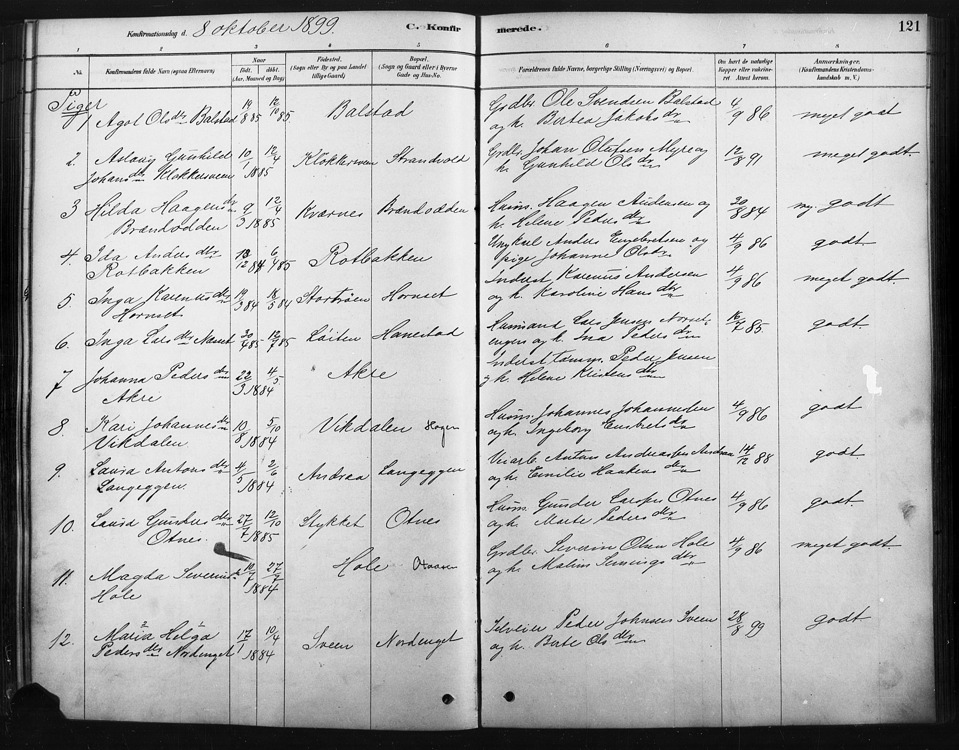 Rendalen prestekontor, AV/SAH-PREST-054/H/Ha/Haa/L0010: Parish register (official) no. 10, 1878-1901, p. 121