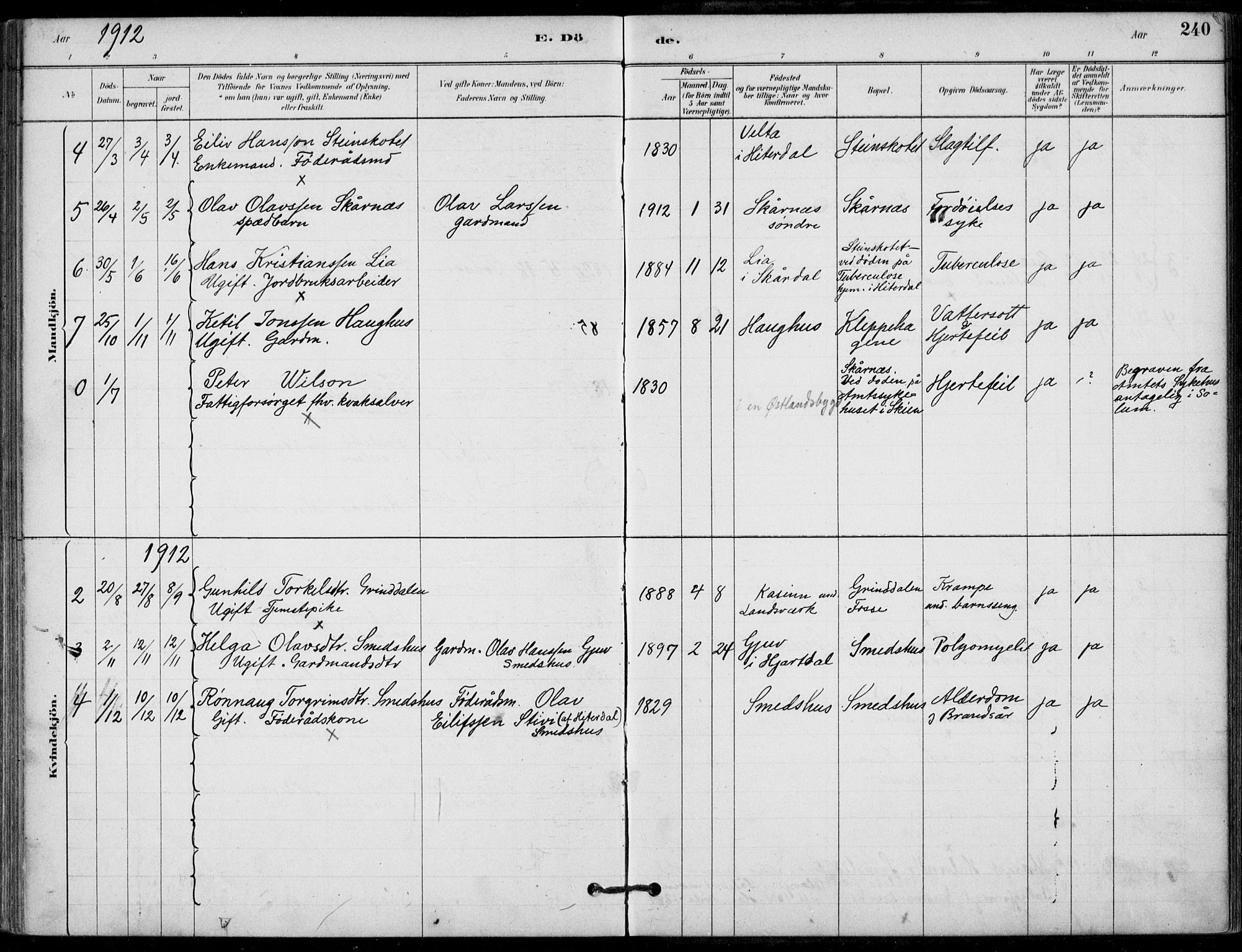 Hjartdal kirkebøker, AV/SAKO-A-270/F/Fb/L0002: Parish register (official) no. II 2, 1880-1932, p. 240