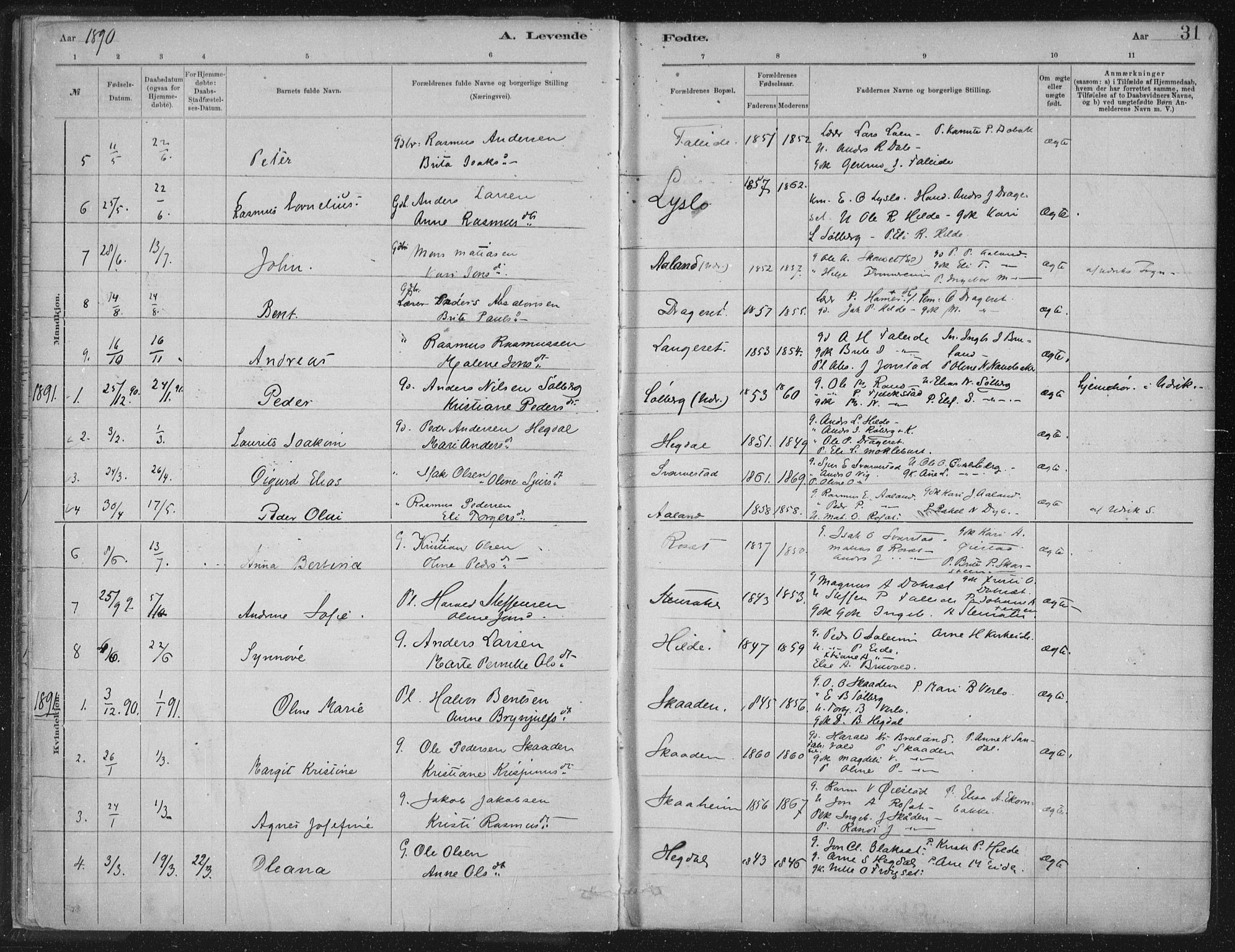 Innvik sokneprestembete, AV/SAB-A-80501: Parish register (official) no. B  1, 1879-1902, p. 31