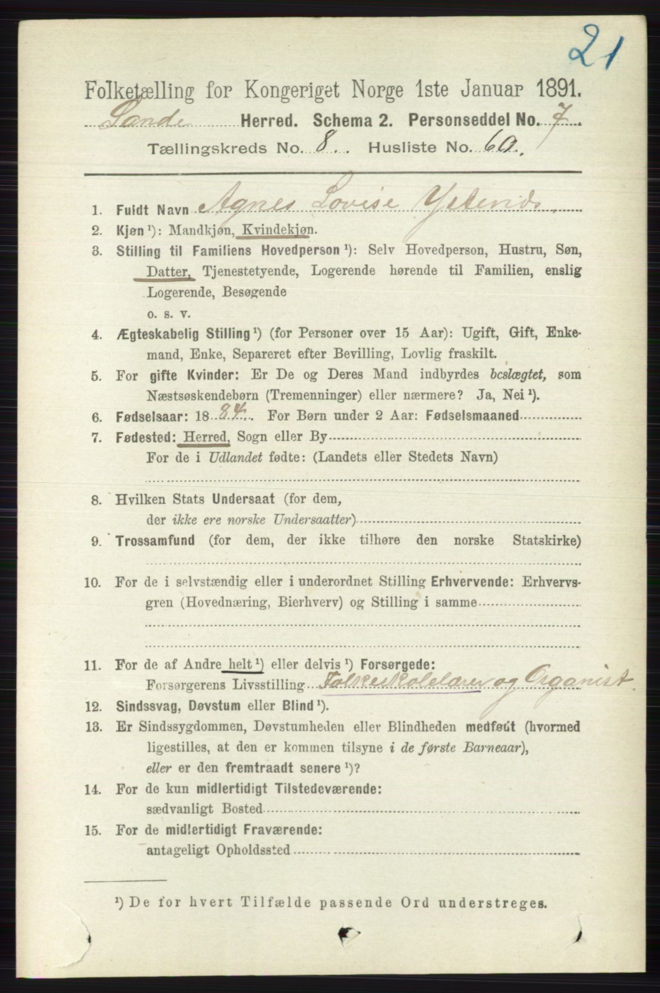 RA, 1891 census for 0713 Sande, 1891, p. 3840