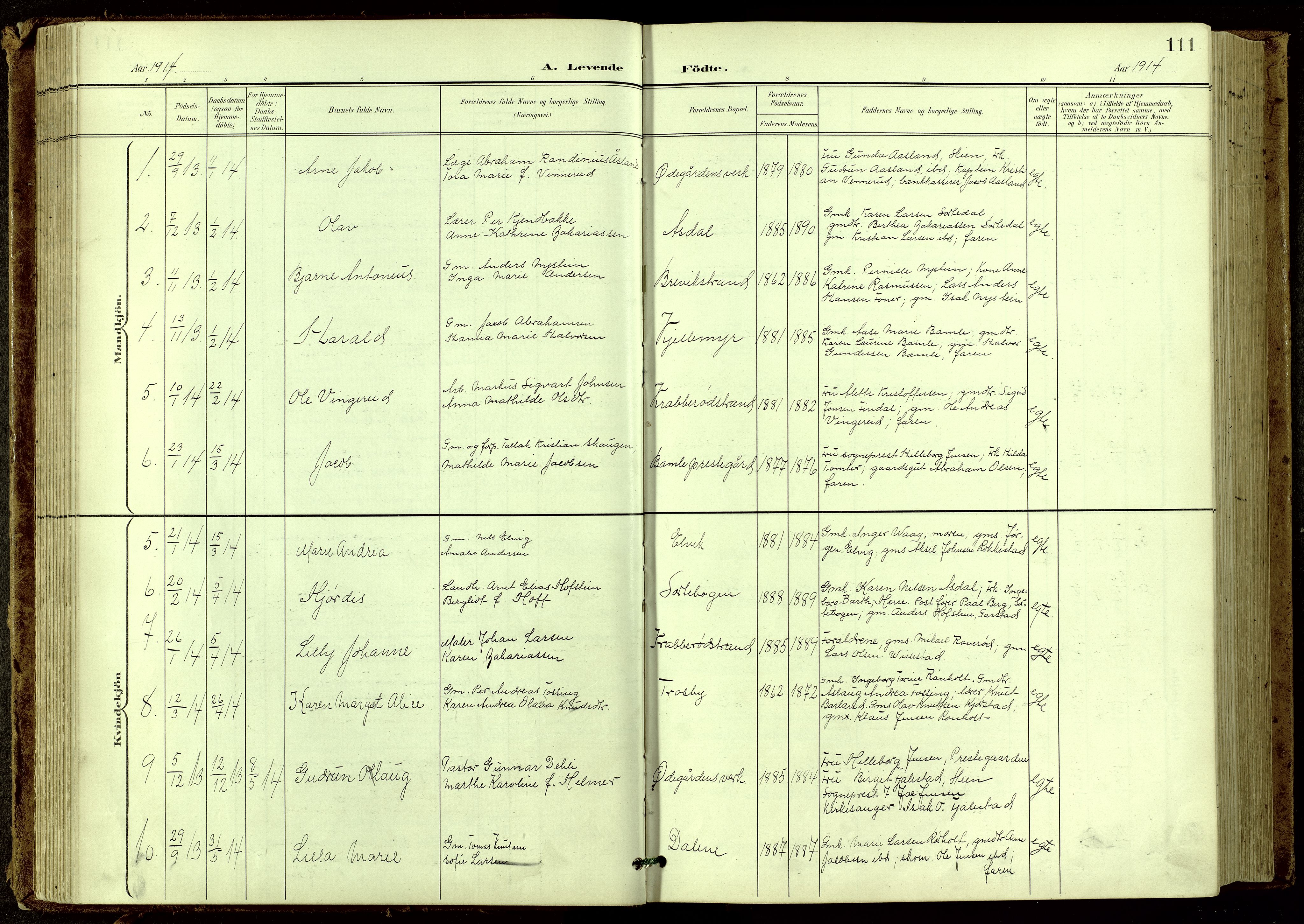 Bamble kirkebøker, SAKO/A-253/G/Ga/L0010: Parish register (copy) no. I 10, 1901-1919, p. 111